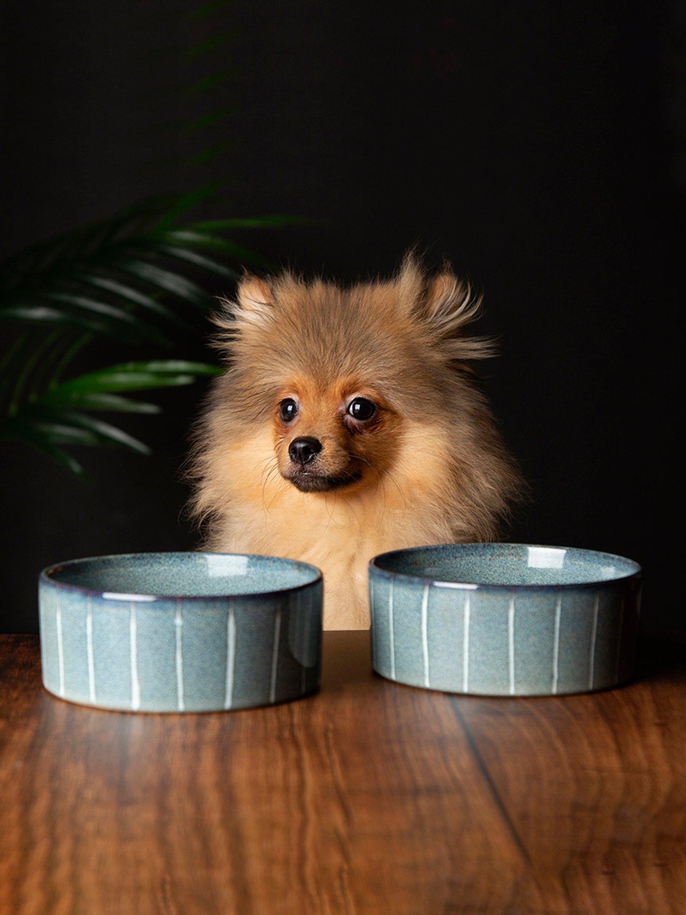 Product photograph of Scruffs Reactive 2pc Bowl Set - Pinstripe 13cm from very.co.uk