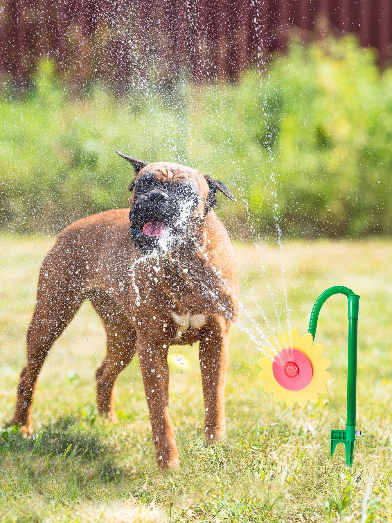 Product photograph of Pet Brands Flower Sprinkler from very.co.uk