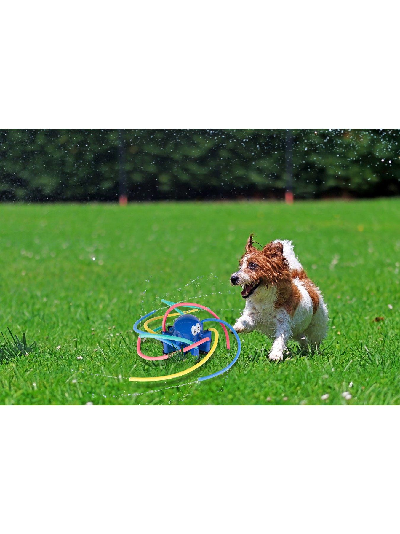Image 3 of 3 of Pet Brands Octopus Sprinkler