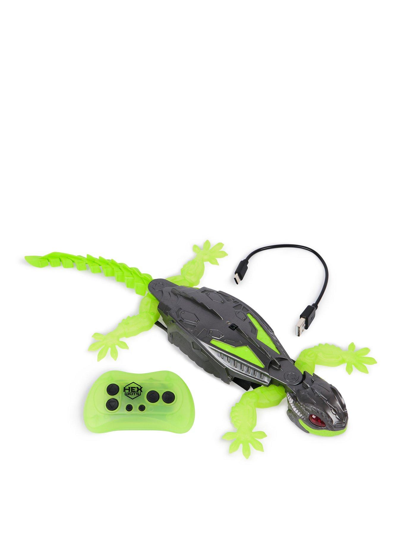 undefined Wall Climber Gecko