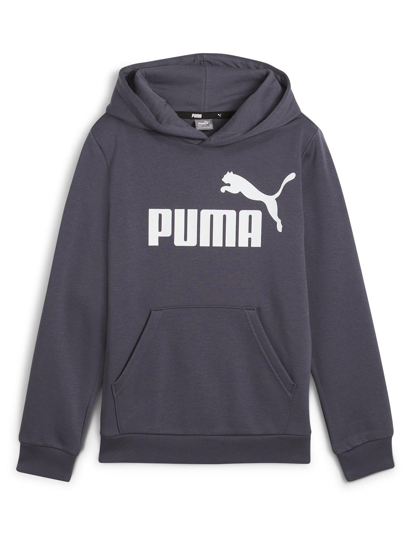 Puma Boys Essentials Fleece Logo Hoodie Grey Very