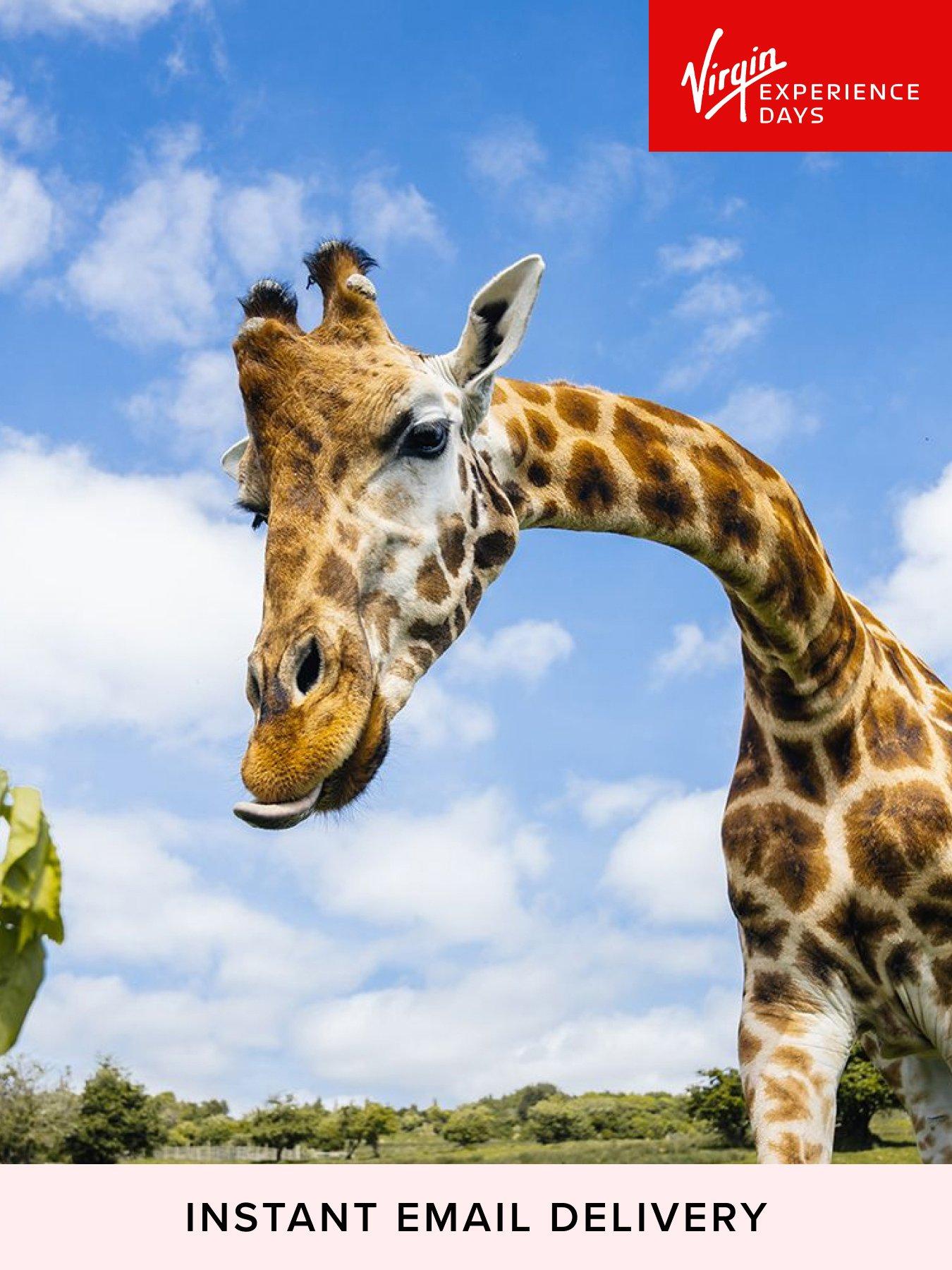 Virgin Experience Days Port Lympne Safari One Night Glamping Stay for up to Four, Kent