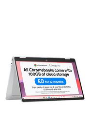 All Silver Chrome Intel N100 Very