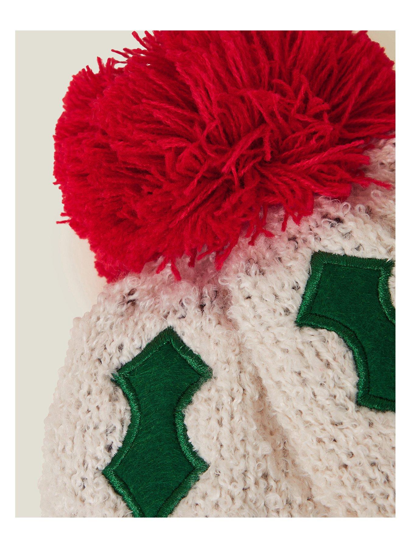Image 5 of 5 of Accessorize Christmas Pudding Novelty