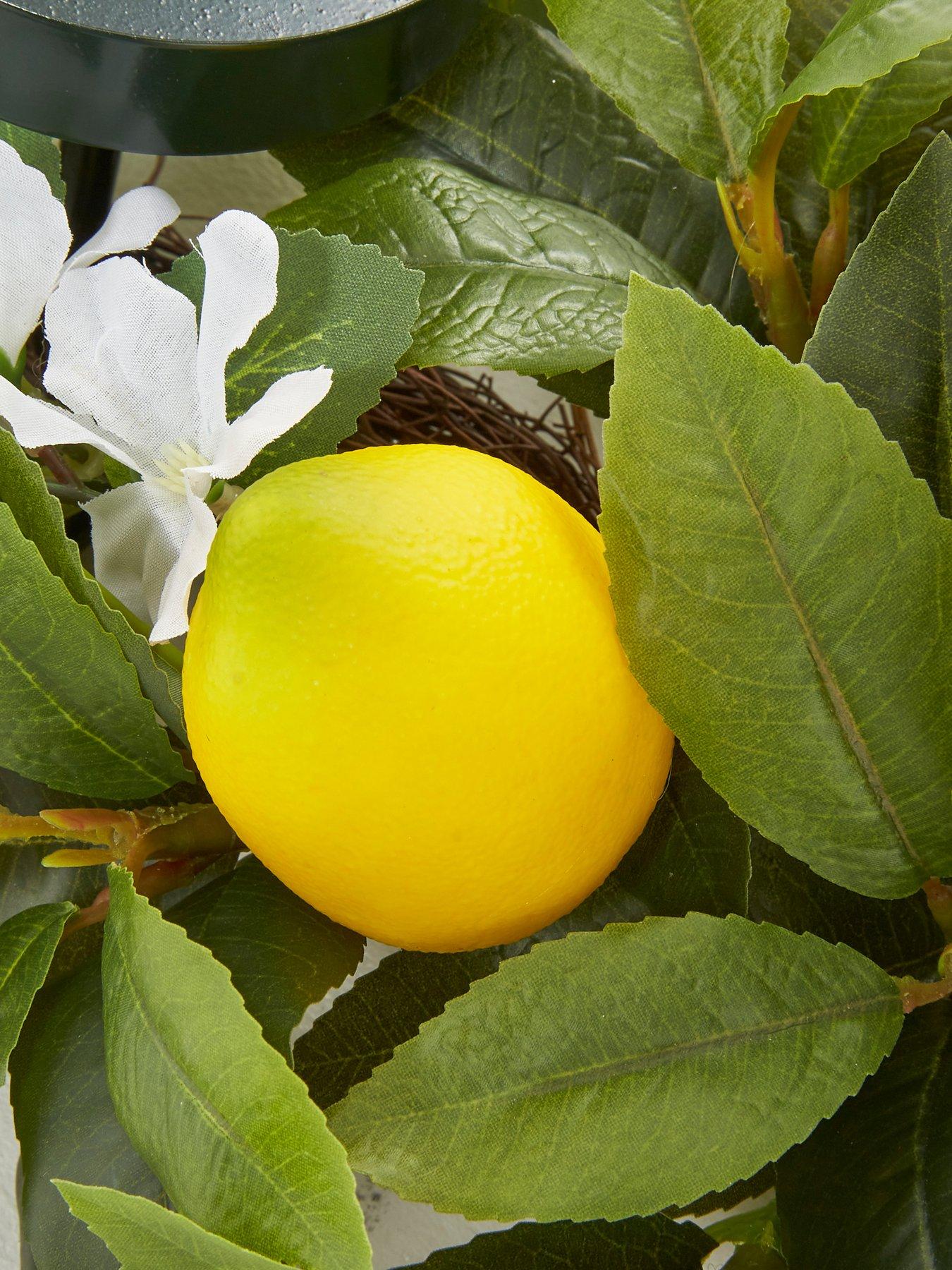 Image 6 of 7 of The Very Collection Lemon Table Centre
