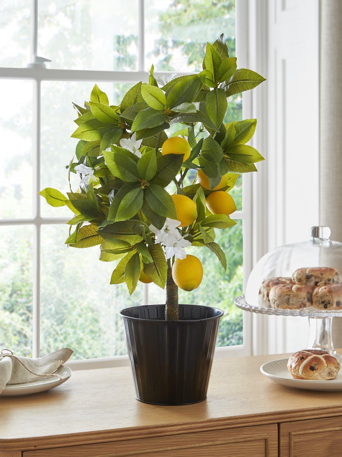 Image 1 of 6 of The Very Collection Lemon Table Top Tree