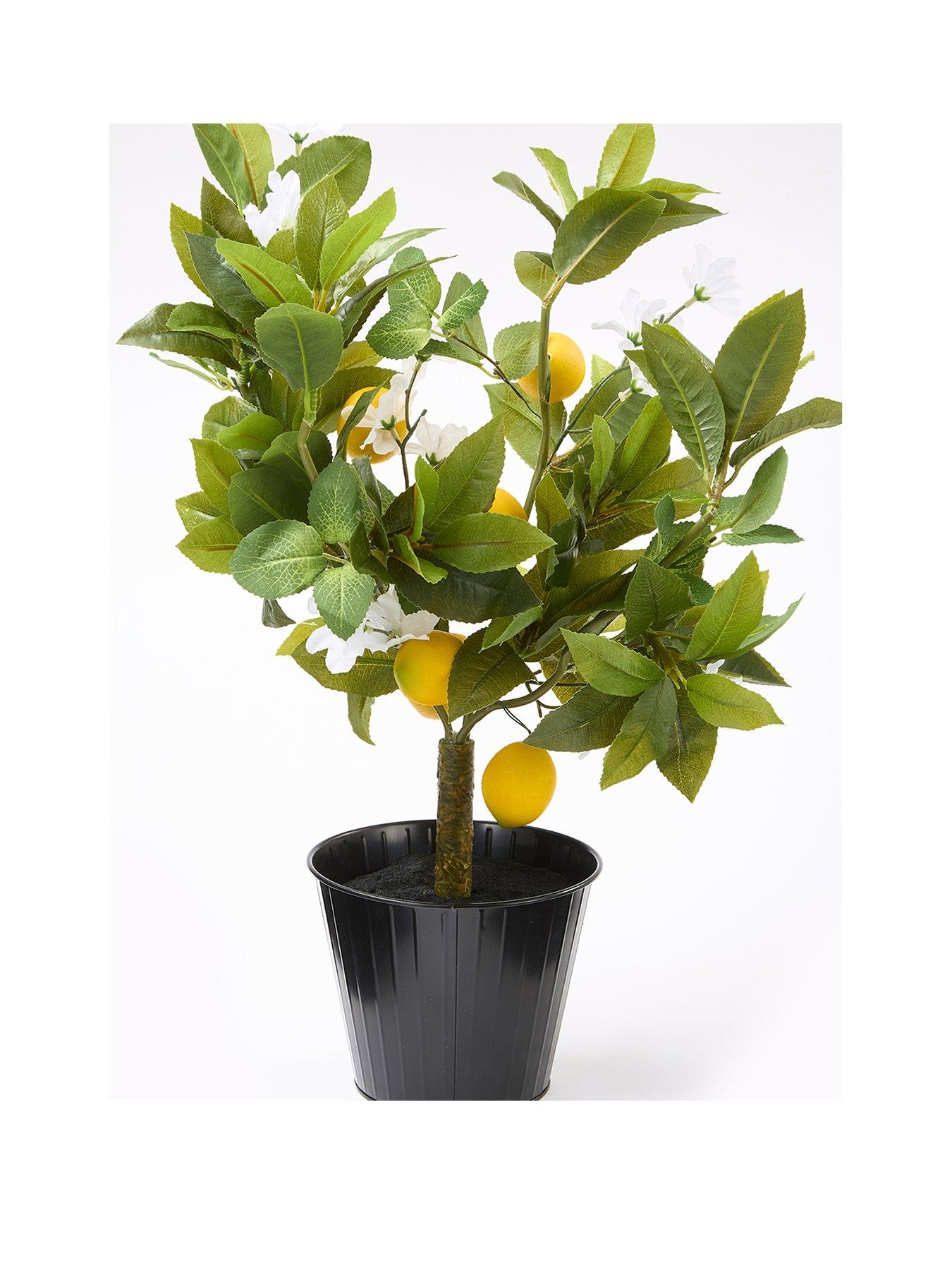 Image 3 of 6 of The Very Collection Lemon Table Top Tree
