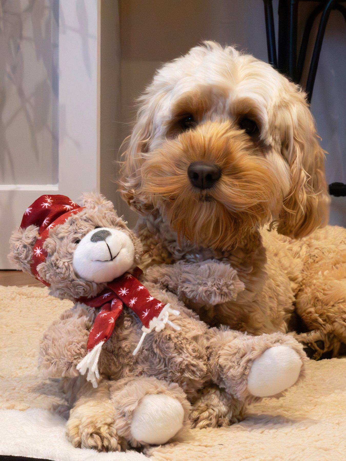 Product photograph of Rosewood Christmas Brie Bear Squeaky Plush Dog Toy from very.co.uk