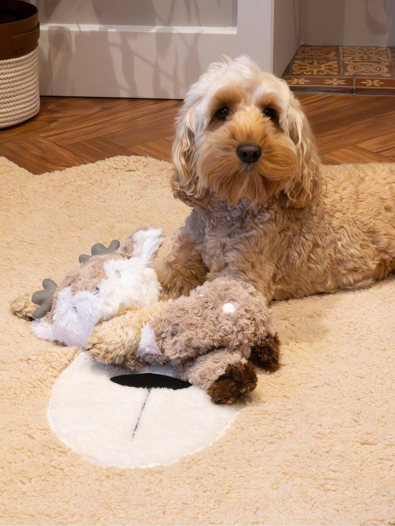 Product photograph of Rosewood Christmas Teddy Bear Blanket For Dogs Beige from very.co.uk