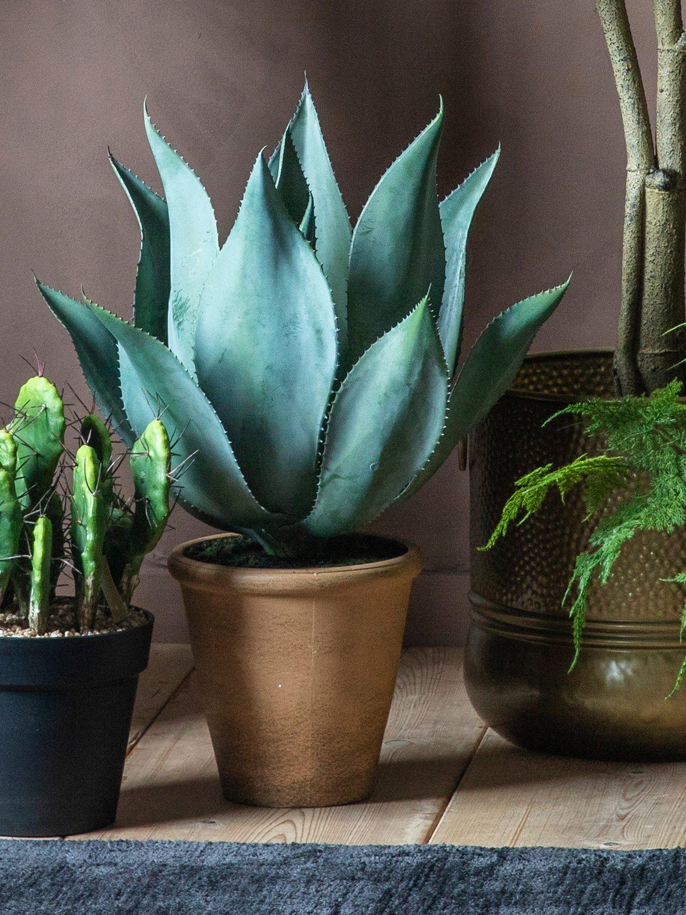 Product photograph of Gallery Aloe Wide Leaf 560x560x560mm from very.co.uk
