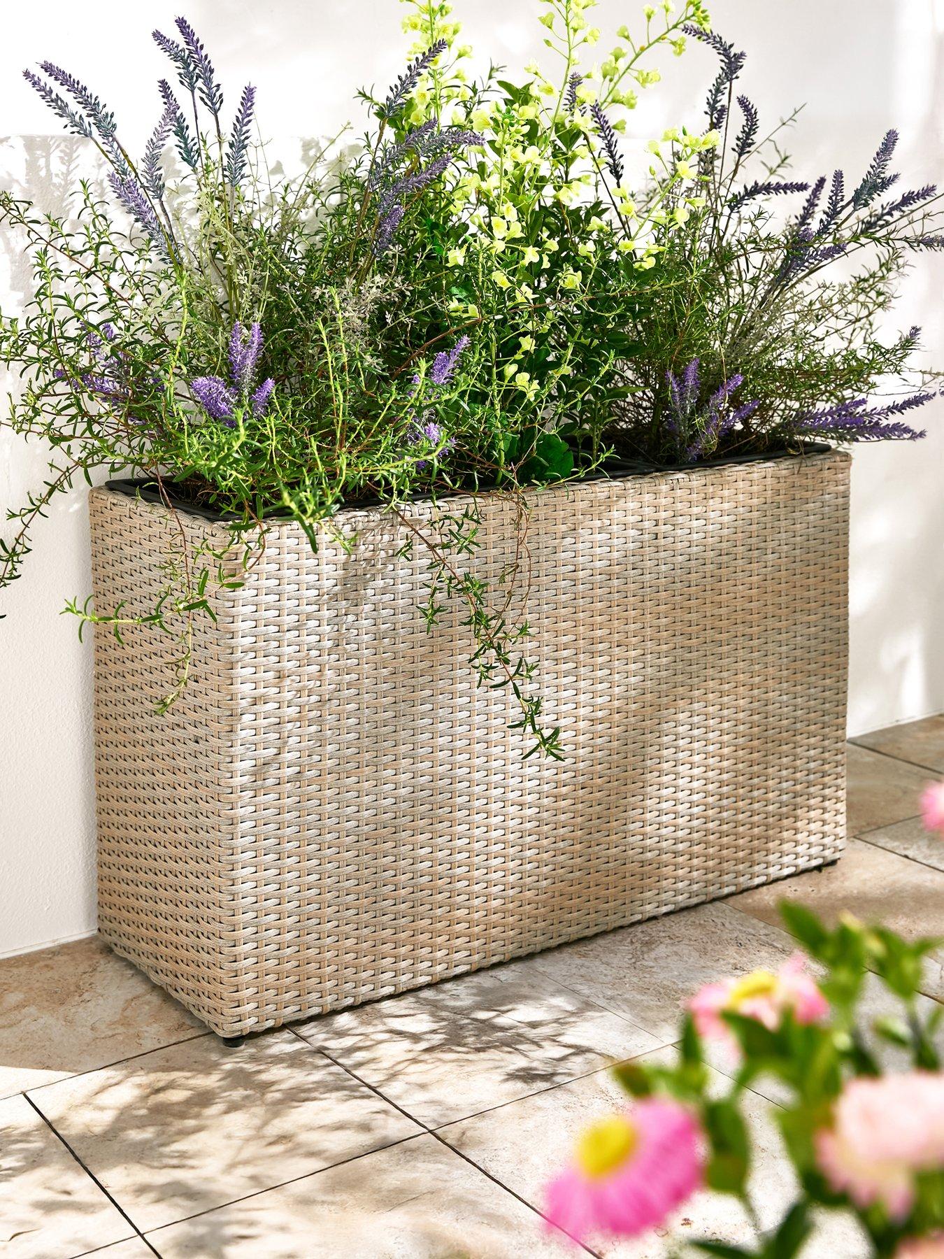 Image 1 of 6 of The Very Collection Albany Rattan Planter