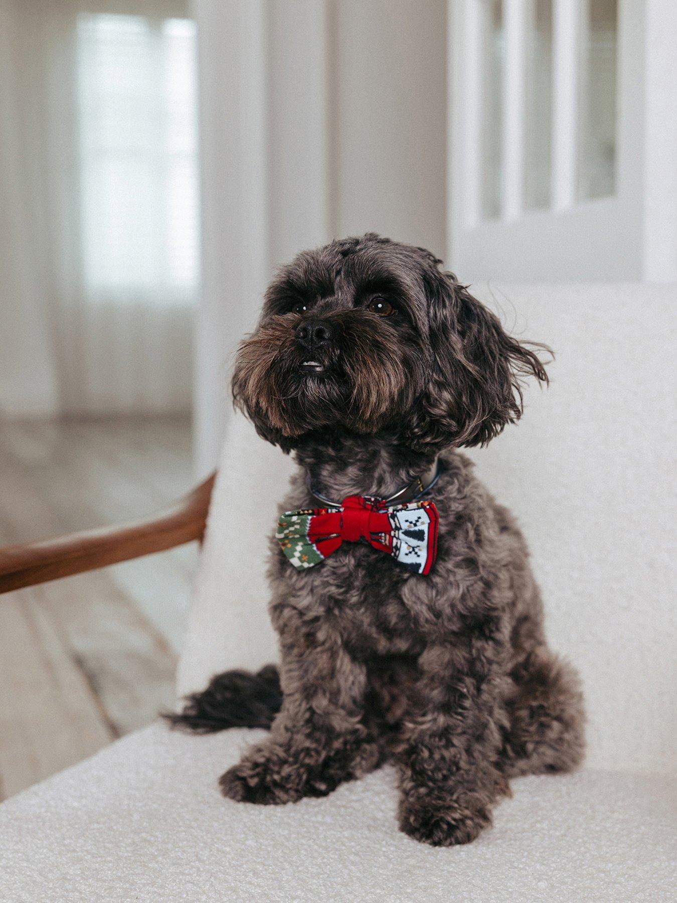 Product photograph of Chelsea Peers Pet Bow Tie - Poly from very.co.uk