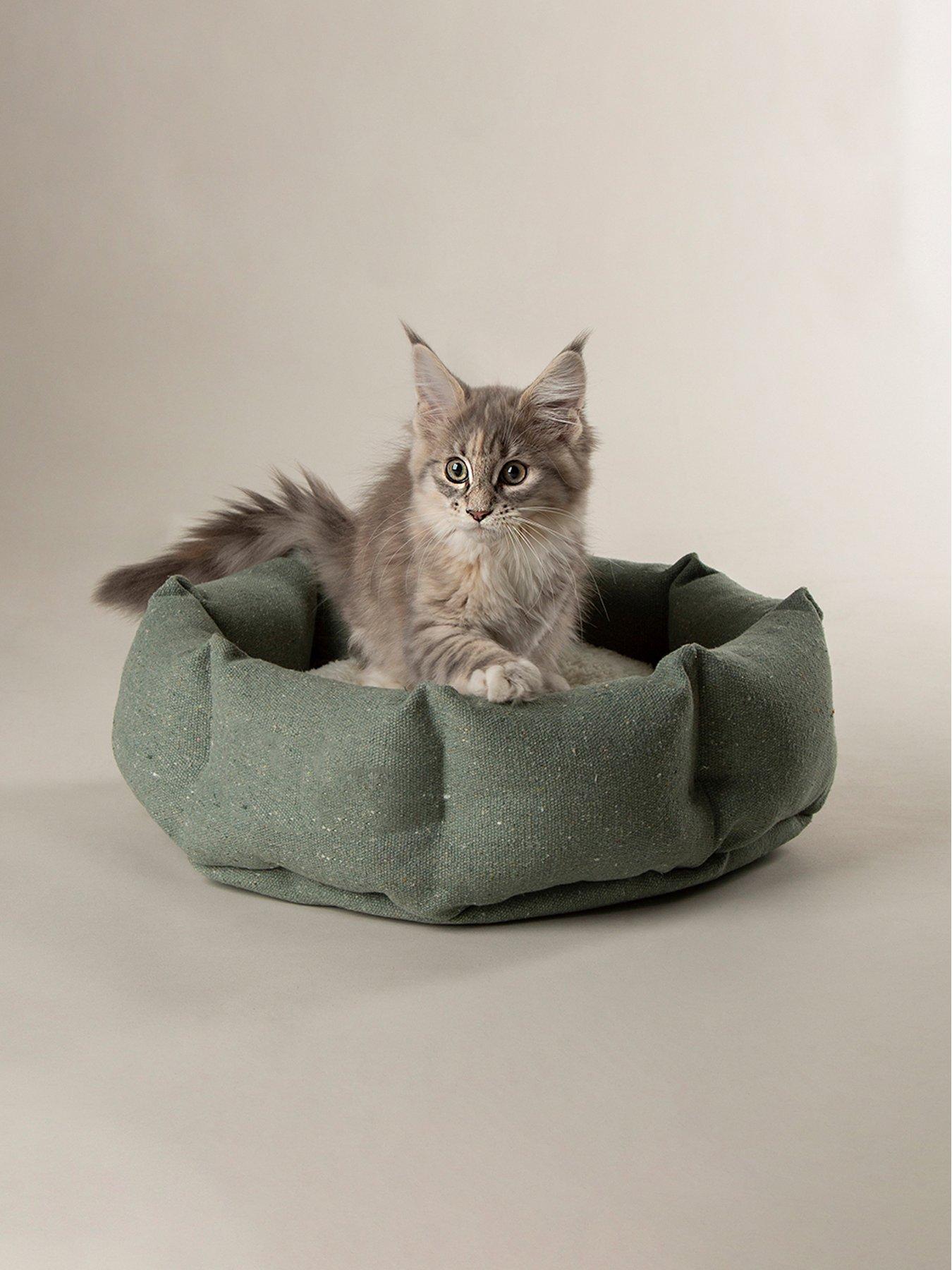 Product photograph of Scruffs Eden Cat Small Dog Bed - Green from very.co.uk