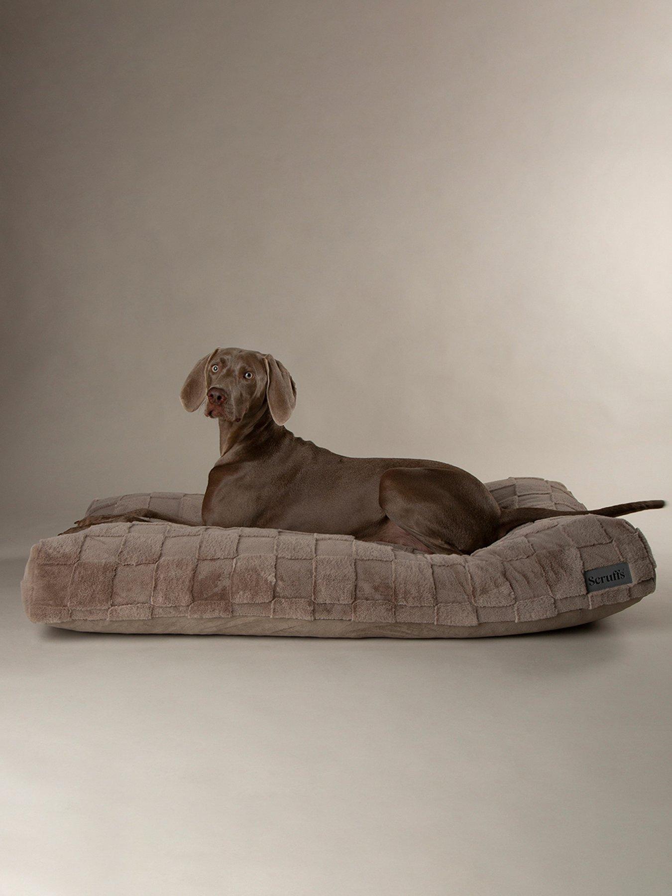Product photograph of Scruffs Oxford Orthopaedic Mattress - Silver - Medium from very.co.uk