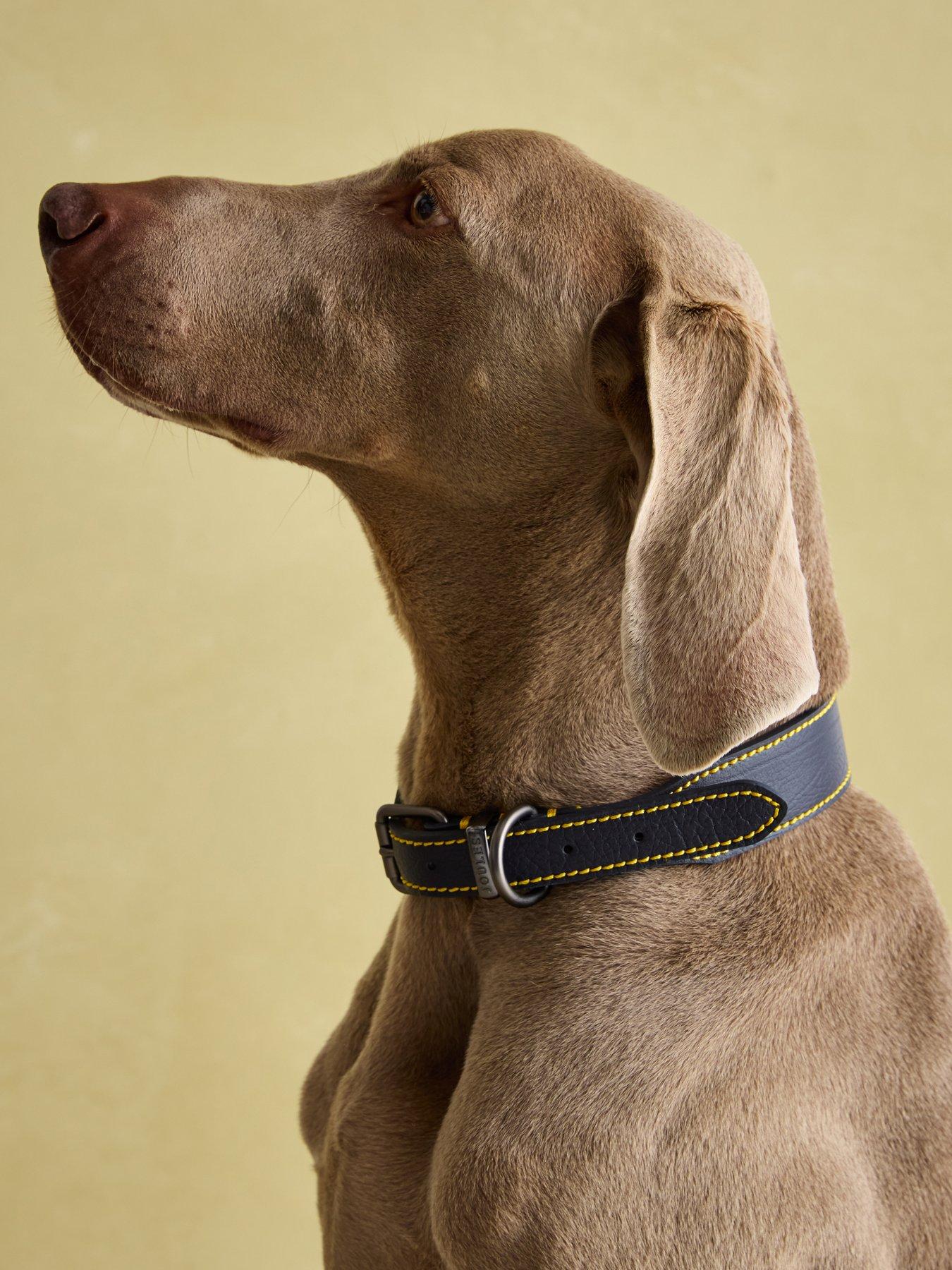 Image 5 of 7 of Joules Navy Leather Collar M