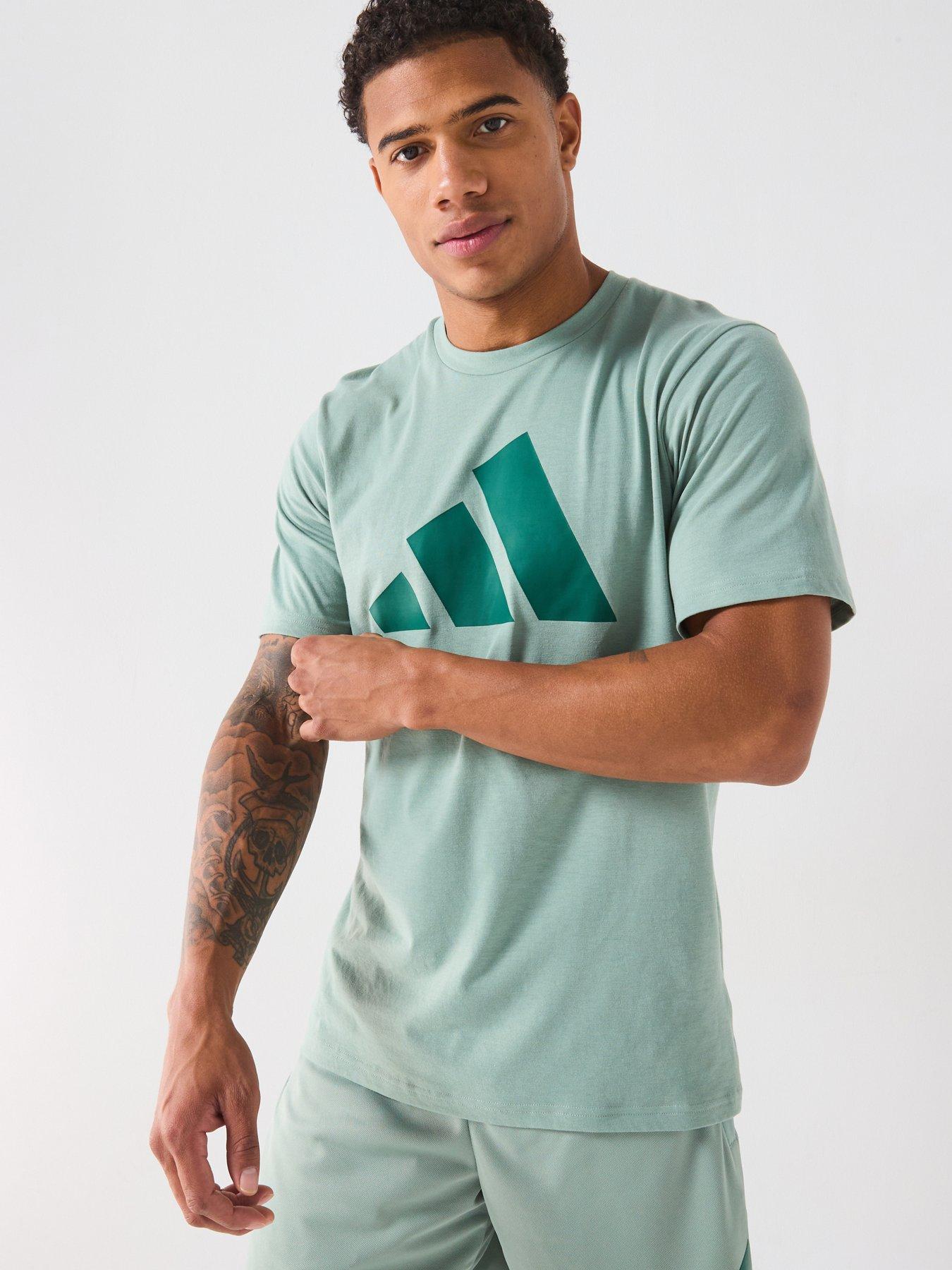 undefined Men's Train Essentials Logo T-Shirt - Silver Green/Collegiate Green