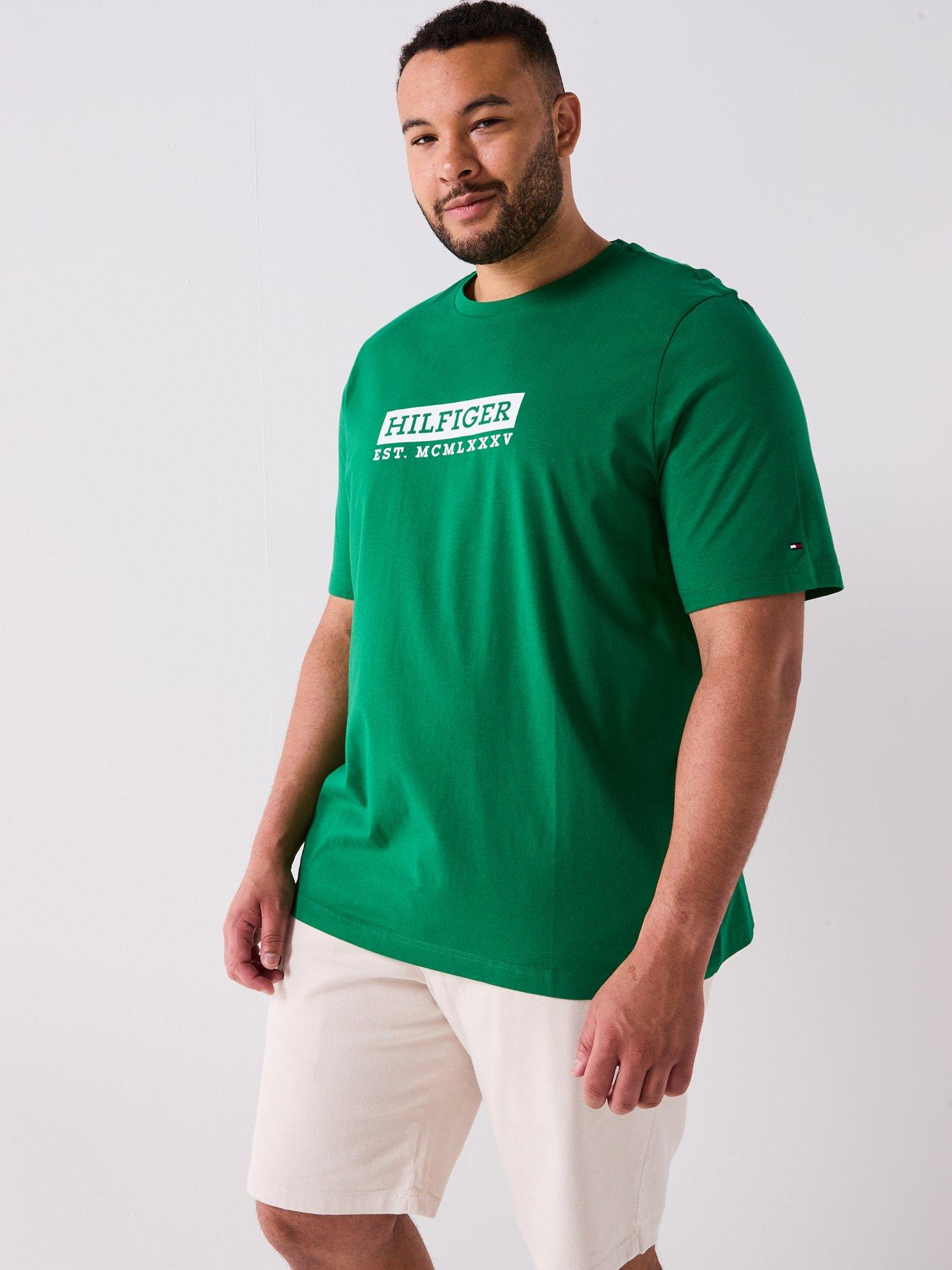 undefined Tommy Hilfiger Big & Tall Colour To Colour T-shirt - Green