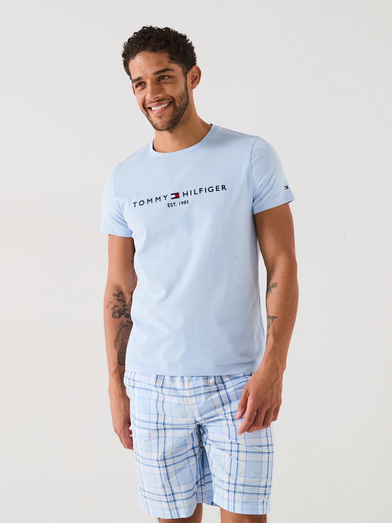 Tommy Hilfiger Regular Fit Linear Chest Logo T-Shirt, Light Blue, Size L, Men