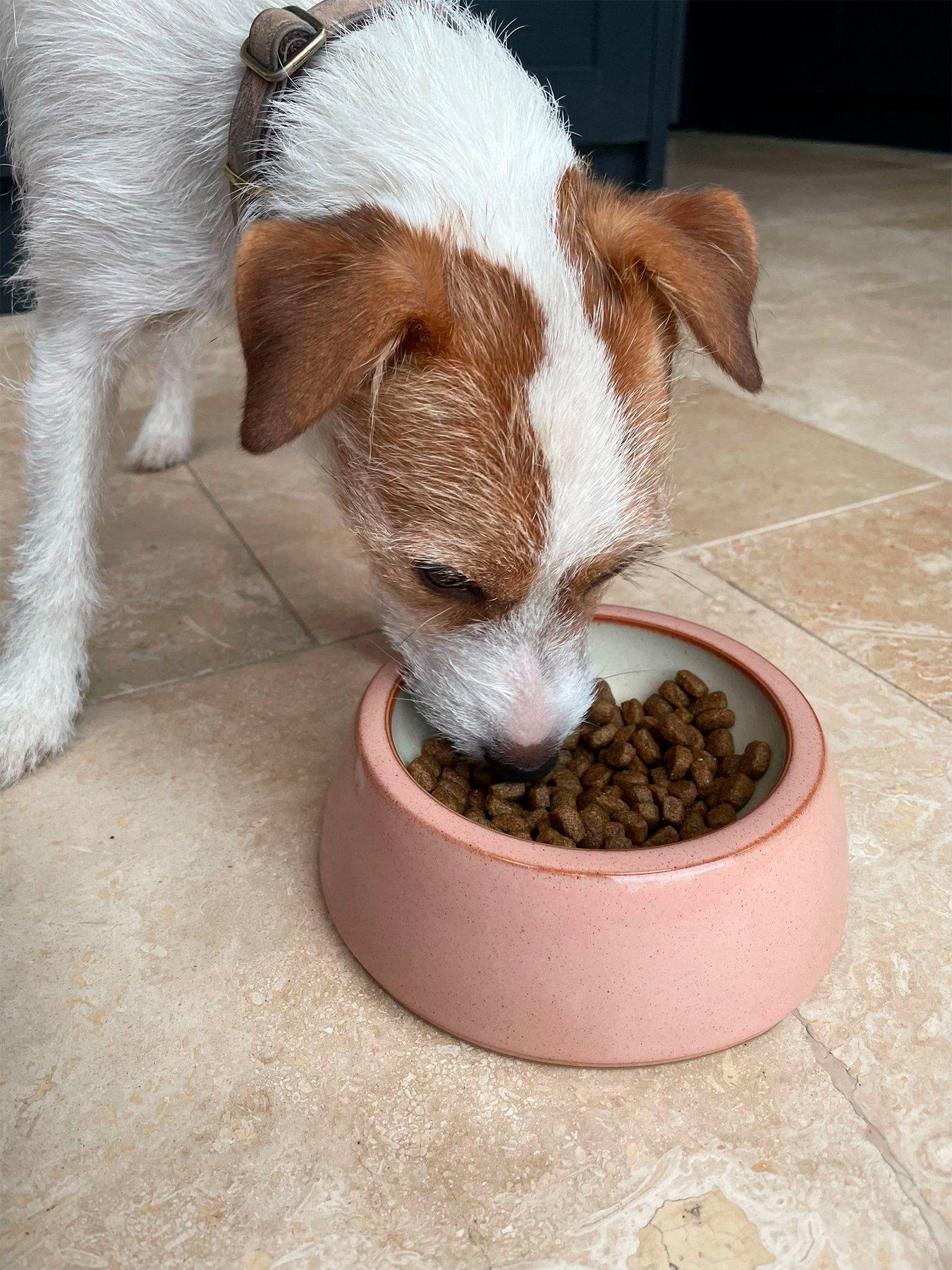 Product photograph of Denby Heritage Piazza Small Pet Bowl - Pink from very.co.uk