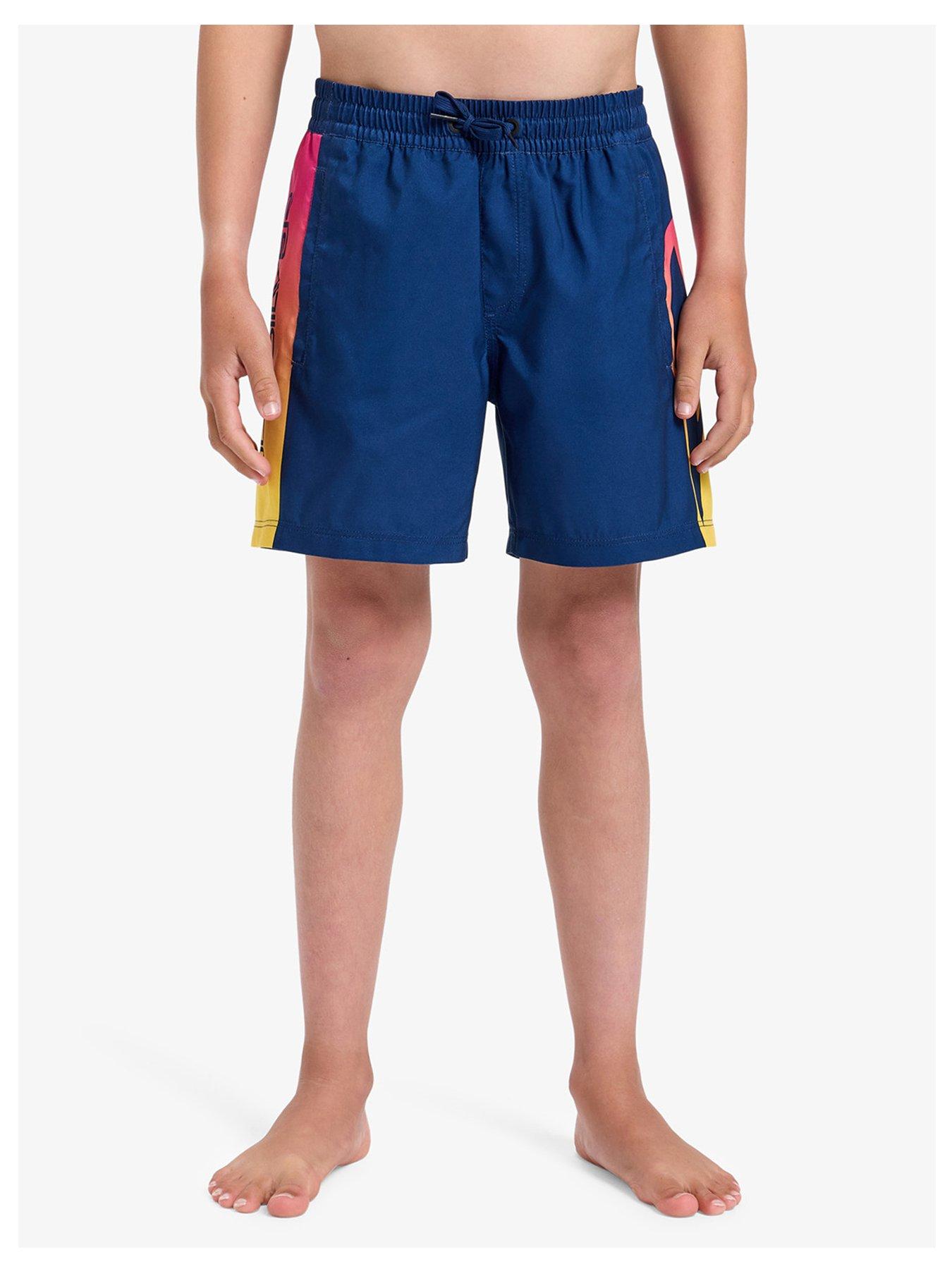 undefined Boys Everyday Holmes Volley 14 Boardshorts - Blue
