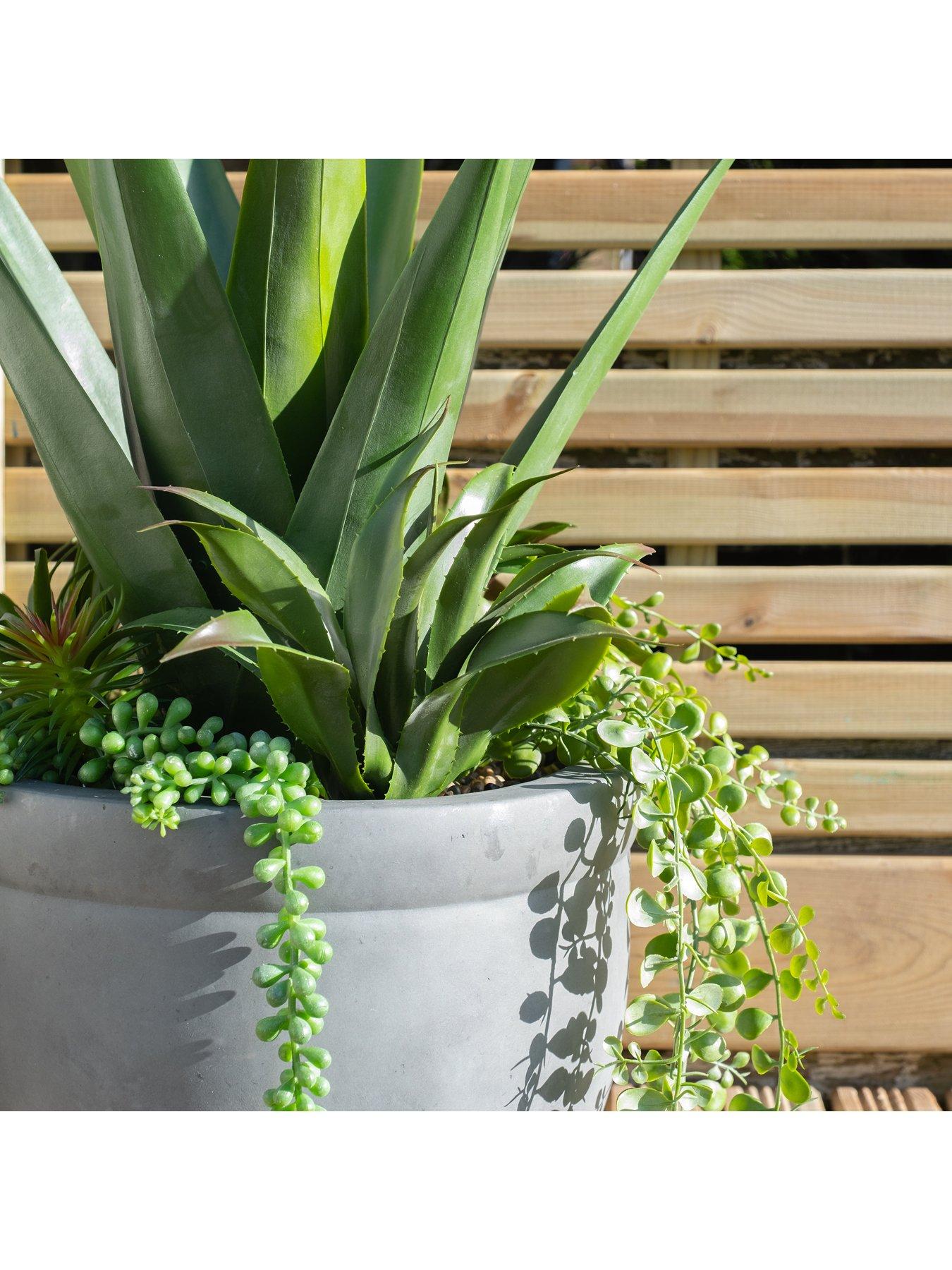 Image 2 of 3 of Scottish Everlastings OUTDOOR 67cm Artificial Mixed Agave Container in Grey Pot