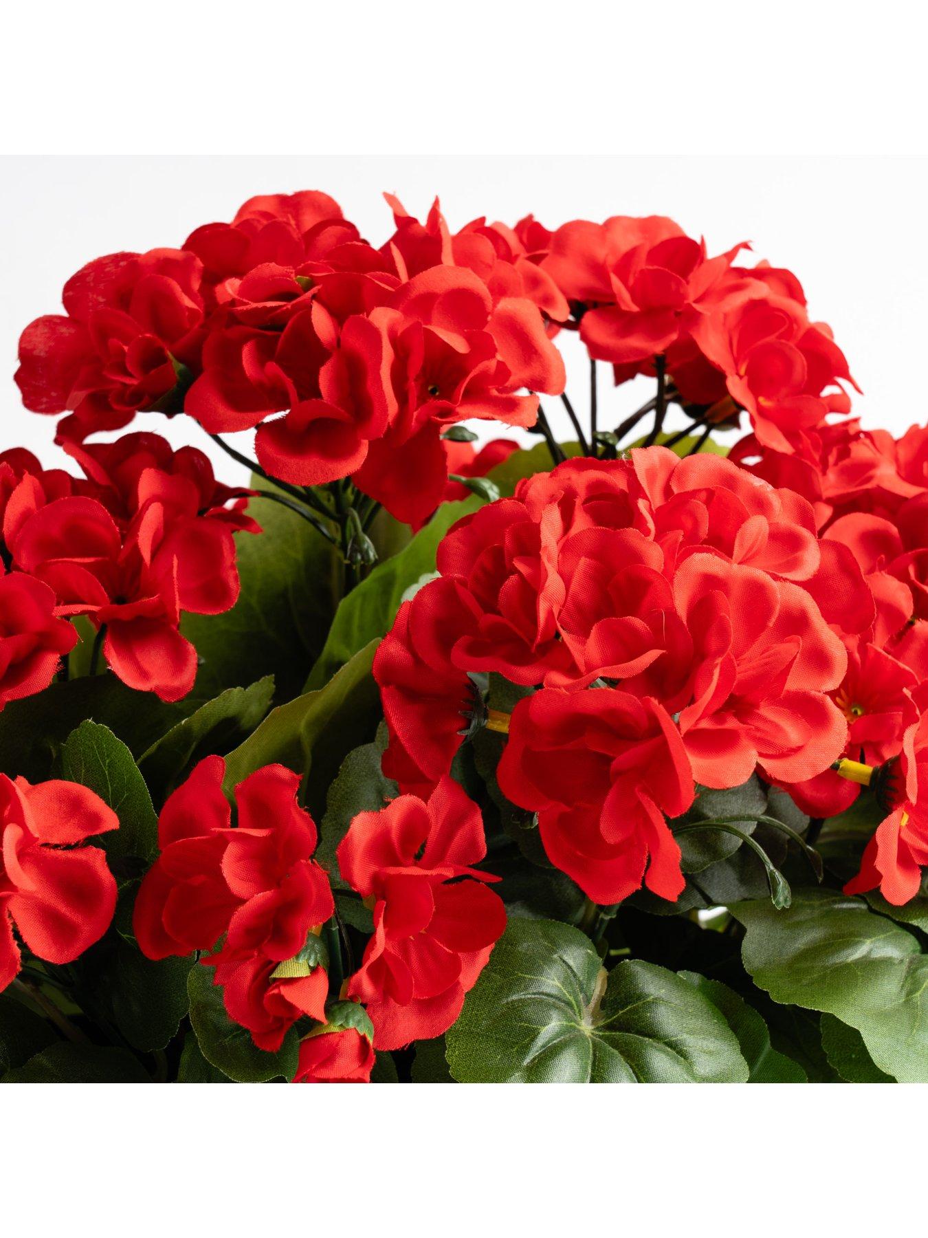 Image 2 of 3 of Scottish Everlastings OUTDOOR Artificial Red Geranium Trough