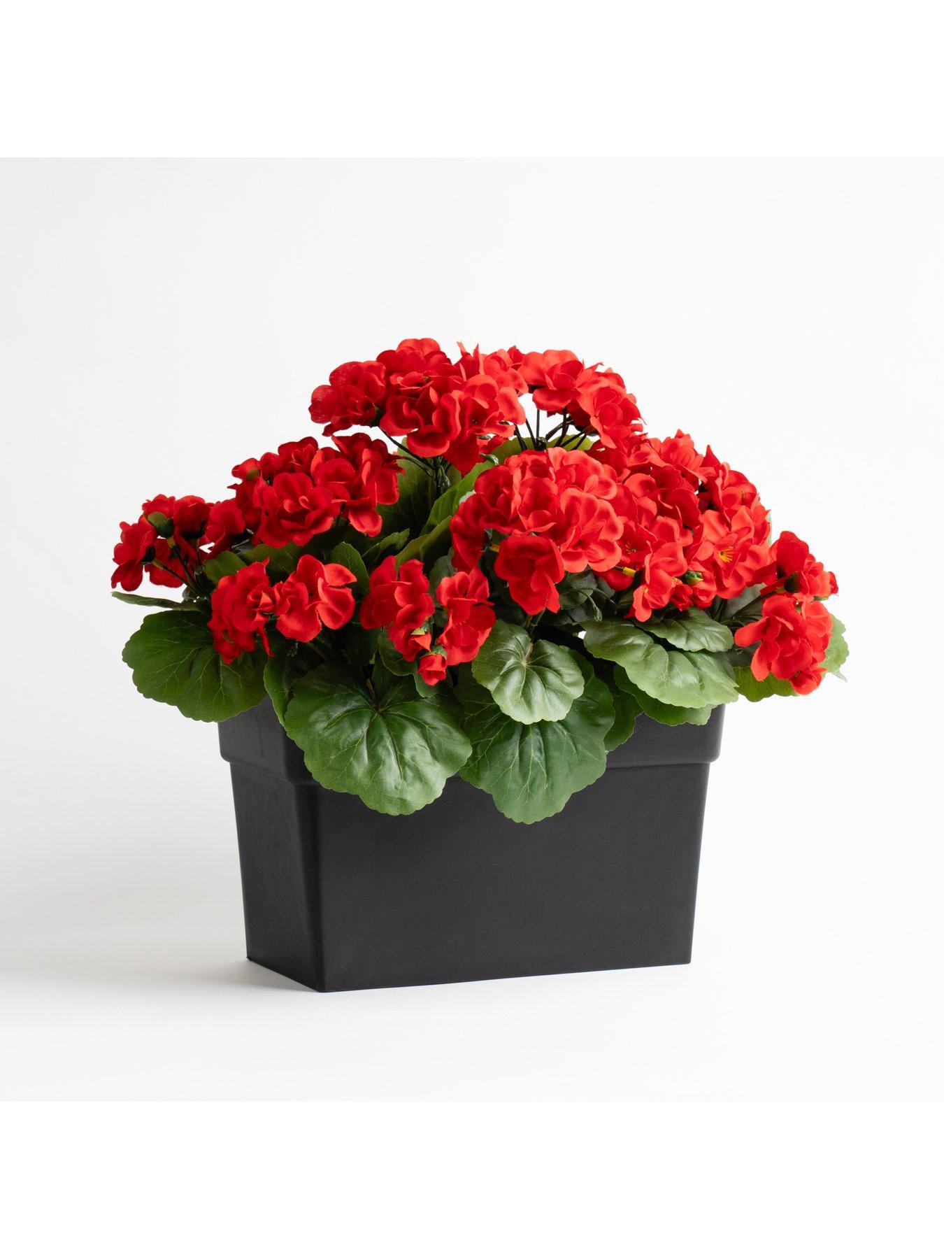 Image 3 of 3 of Scottish Everlastings OUTDOOR Artificial Red Geranium Trough
