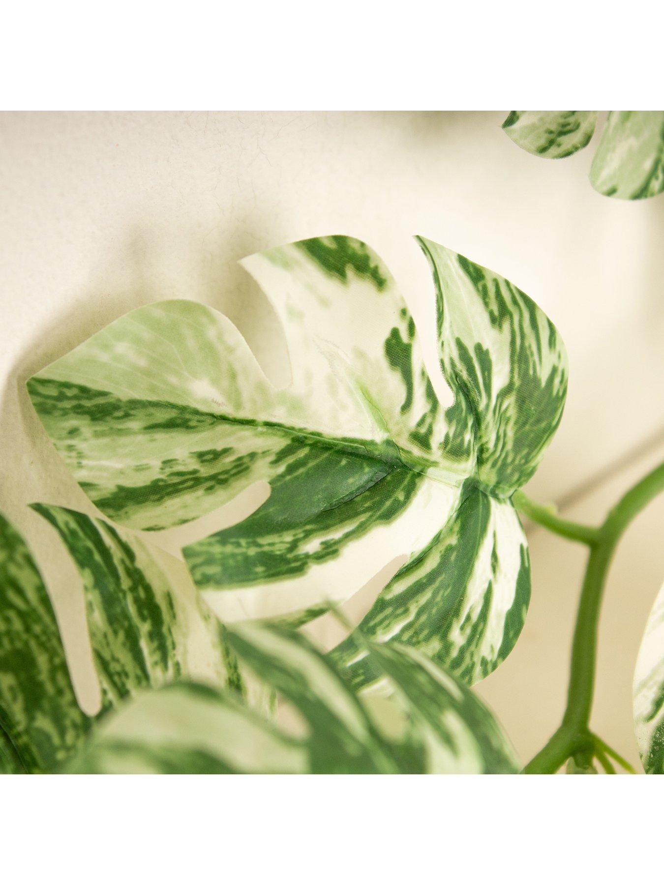Image 3 of 3 of Scottish Everlastings 190&nbsp;cm Artificial Variegated Monstera Garland (Pack of 2)