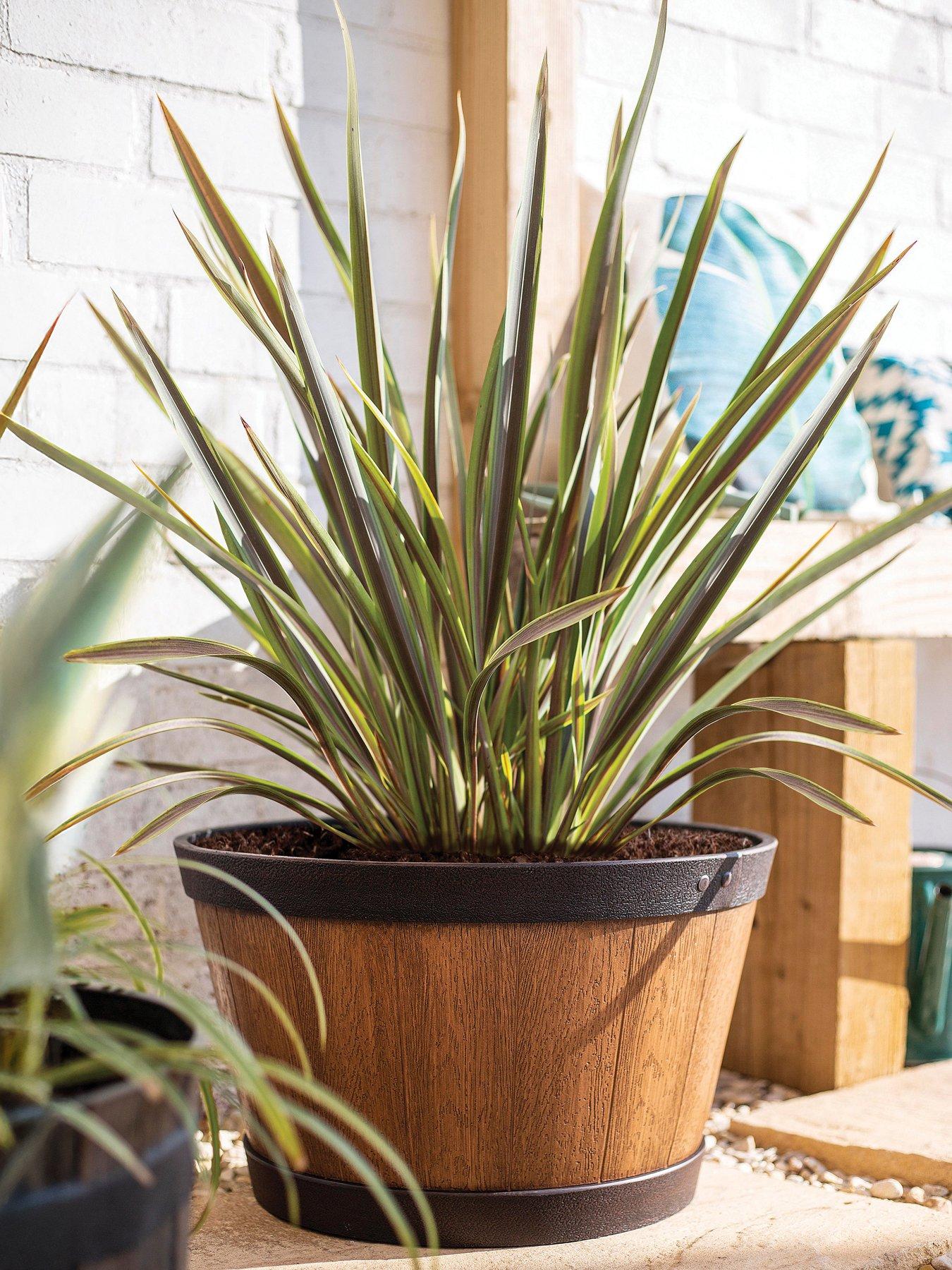 La Hacienda Oban Whiskey Barrel - Light Oak (39cm)