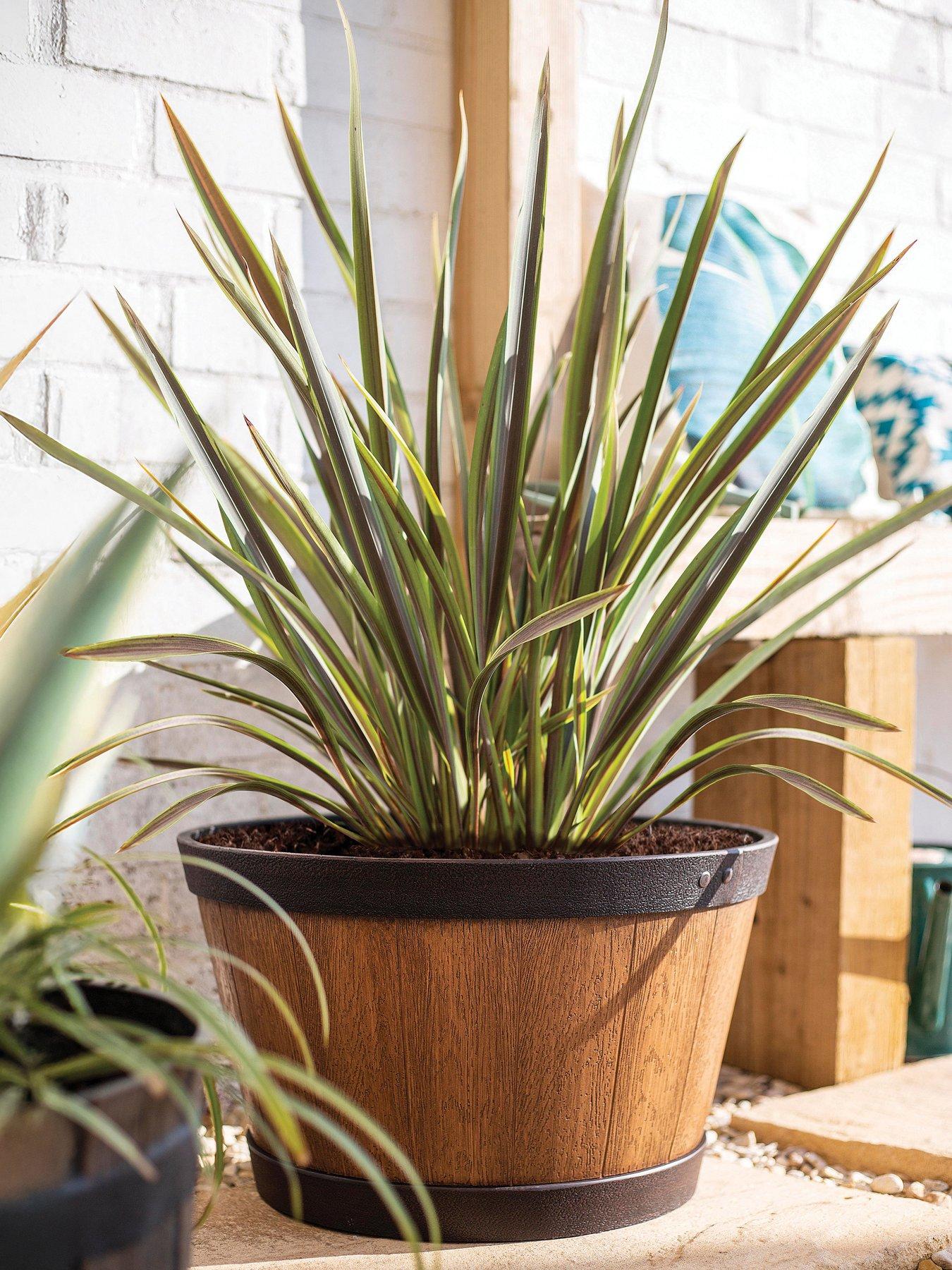 La Hacienda Oban Whiskey Barrel - Light Oak (45cm)