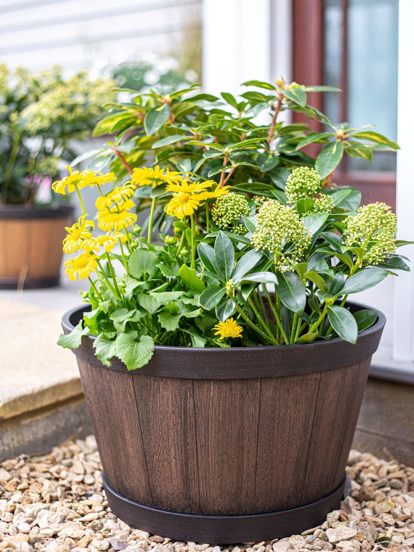 La Hacienda Oban Whiskey Barrel - Dark Oak (39cm)