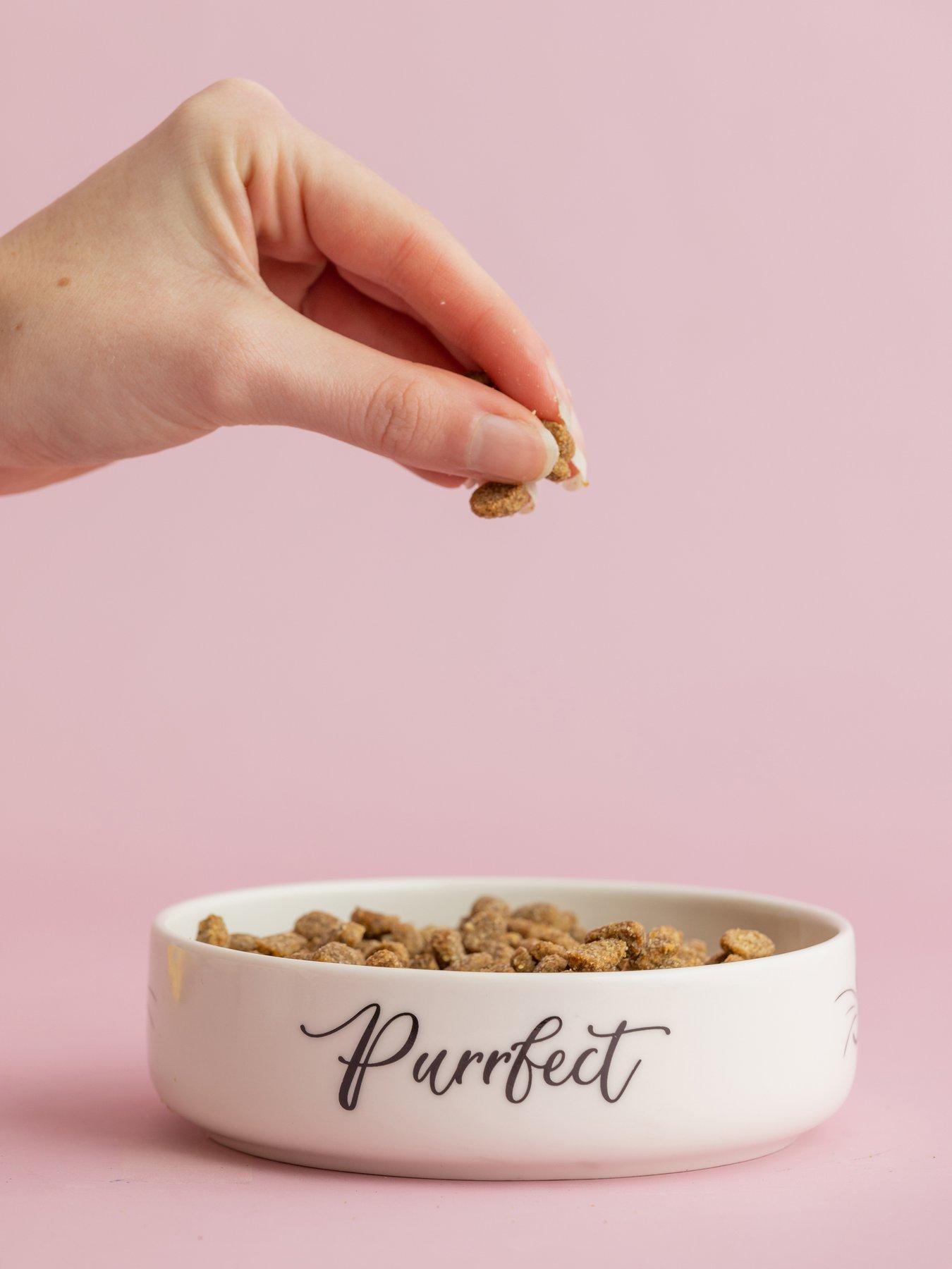 Product photograph of Mason Cash Purrfect Set Of 2 Cat Bowls 13x4cm from very.co.uk