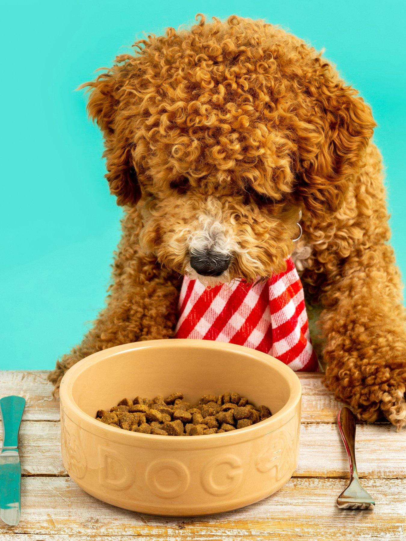 undefined Cane Lettered Food & Water Bowl Set 15Cm