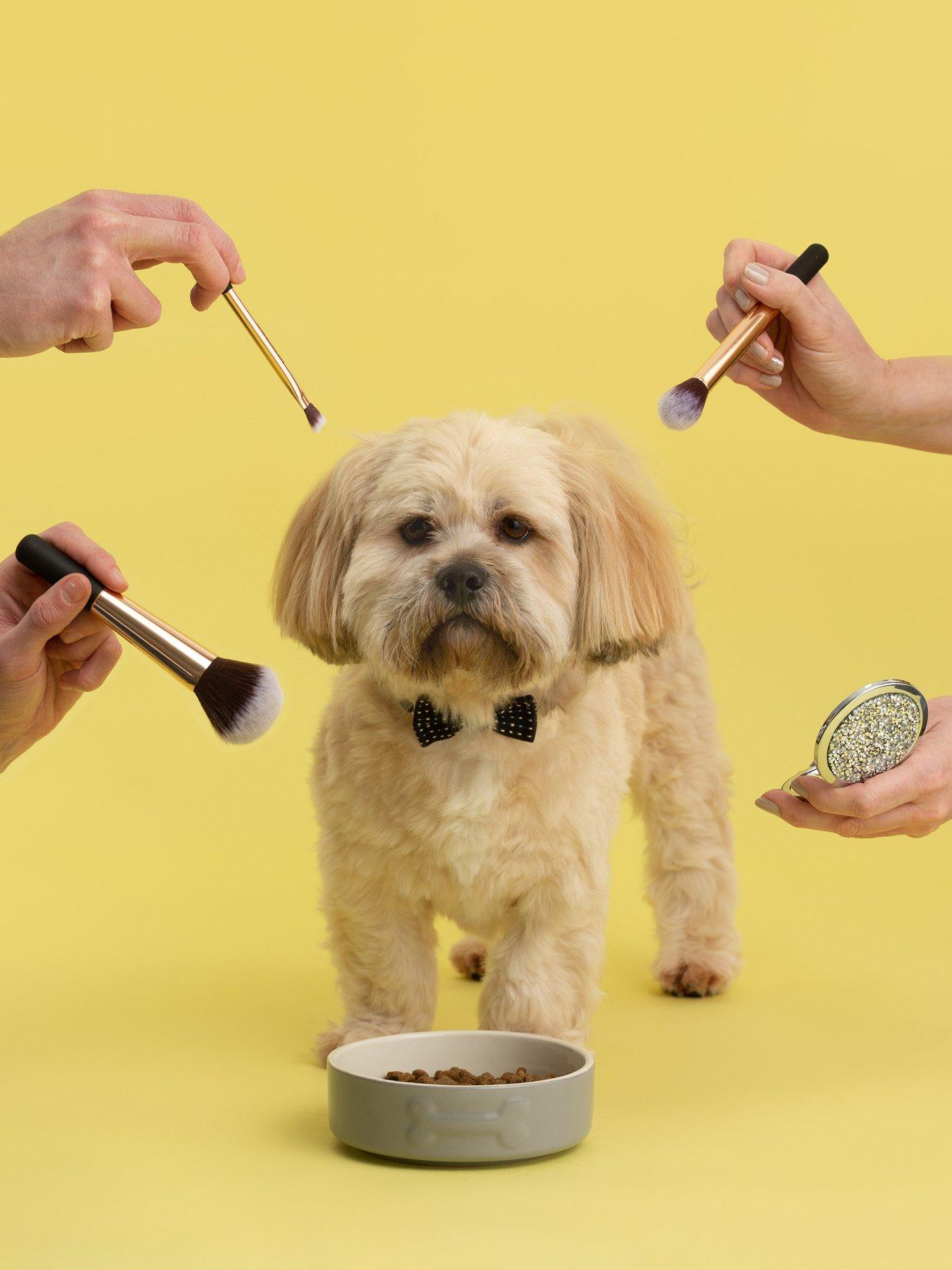 Product photograph of Mason Cash Colourmix Set Of 2 Grey Dog Bowls Placemat from very.co.uk