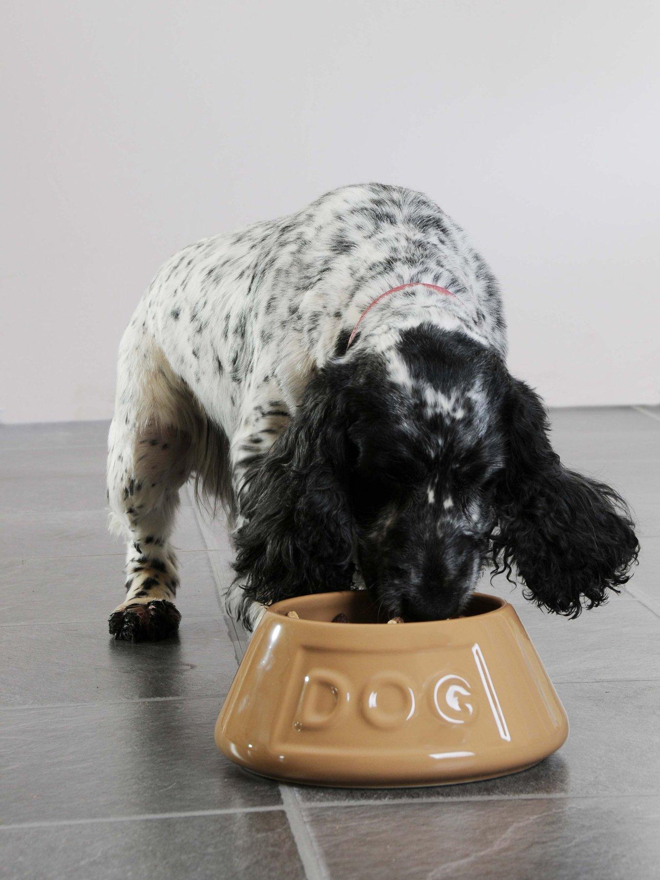 Image 1 of 3 of Mason Cash Grey Non Tip Lettered Dog Bowl 21Cm