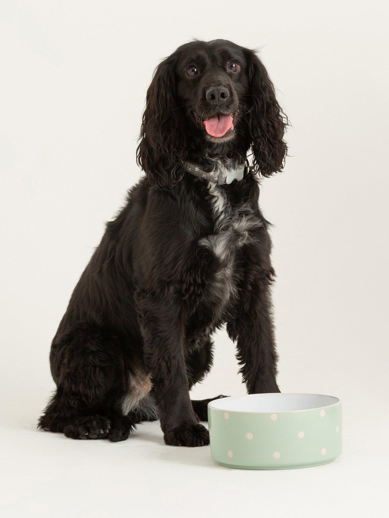 undefined Polka Dot Sage Set Of 2 Dog Bowls 18Cm