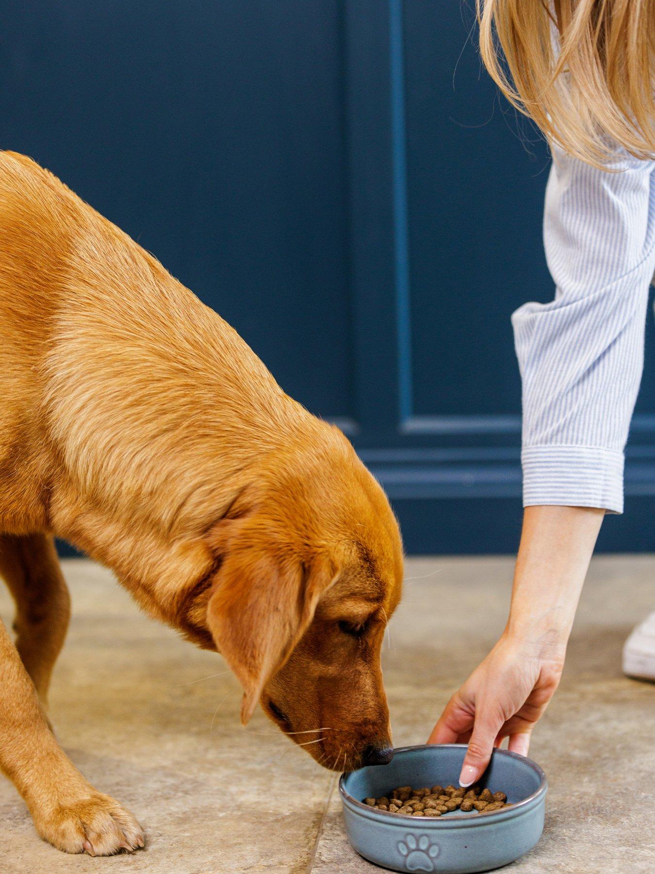 Product photograph of Mason Cash Set Of 2 Reactive Paw Bowls 18cm from very.co.uk