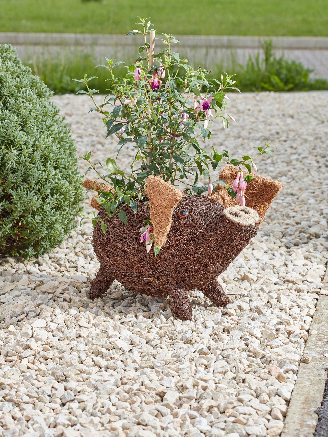 Smart Garden Porky Pig Rattan Planter
