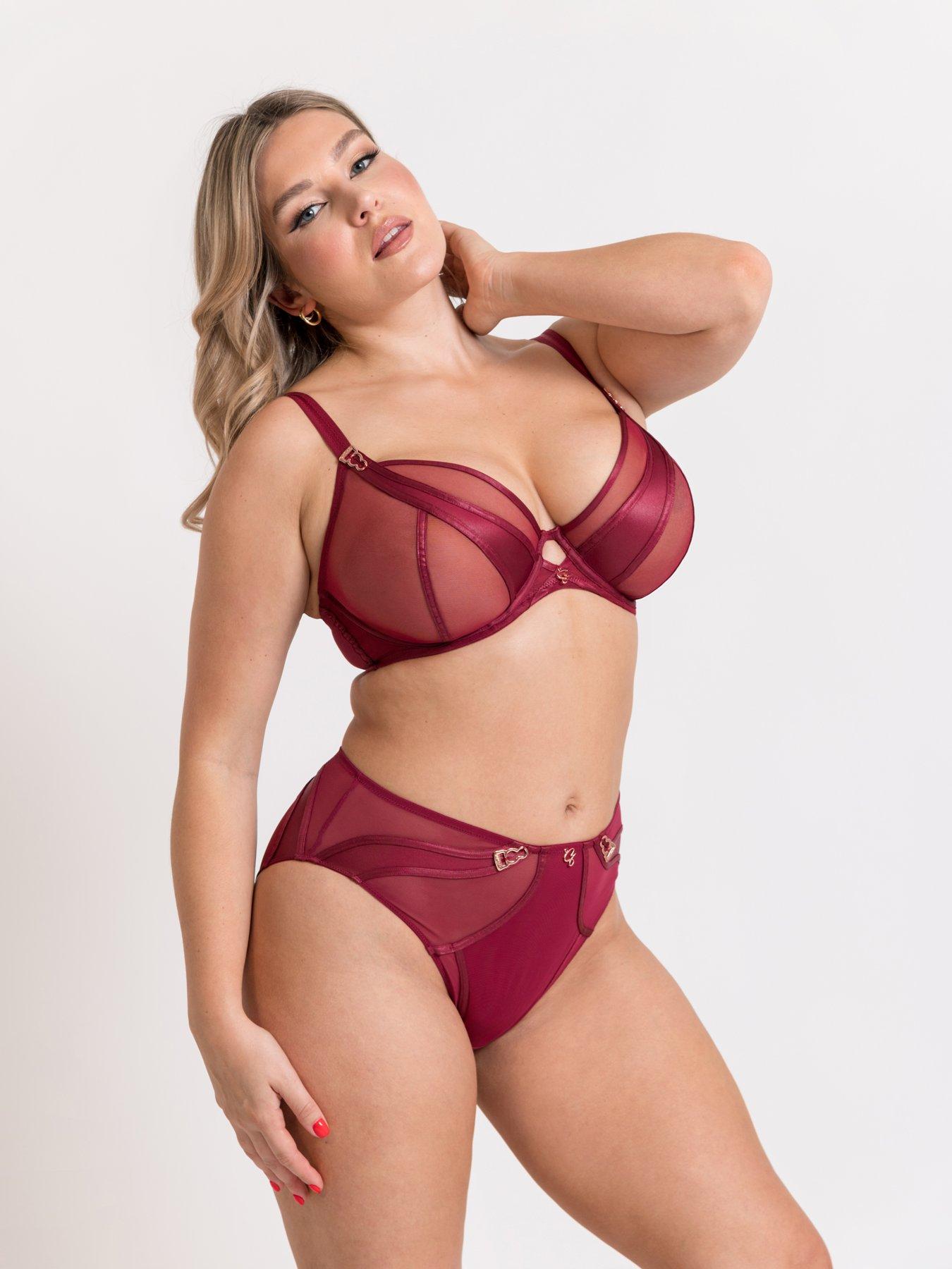 undefined Scantilly By Curvy Kate Suspense High Waist Brief - Sangria