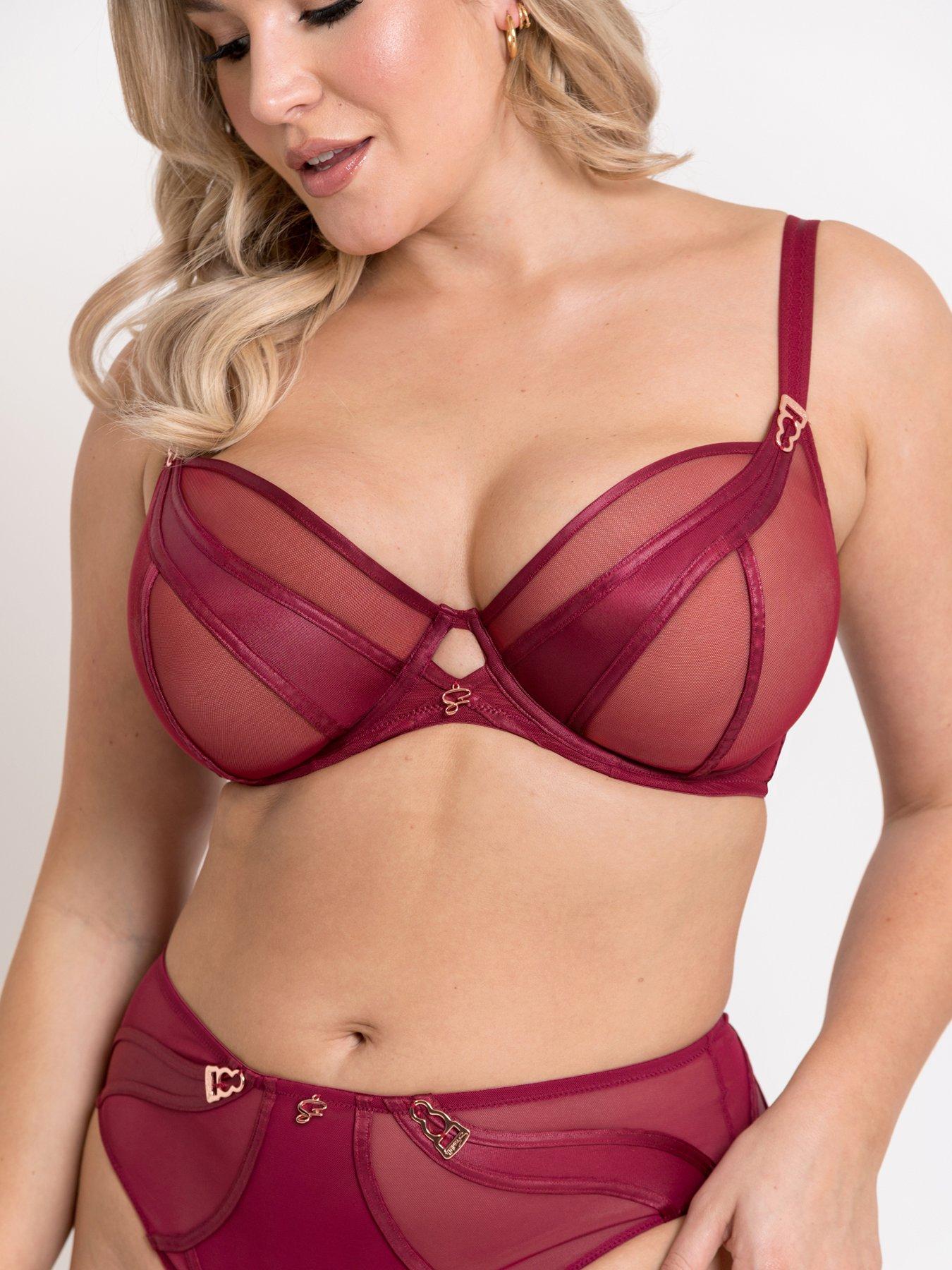 Image 4 of 6 of Curvy Kate Scantilly By Curvy Kate Suspense High Waist Brief - Sangria