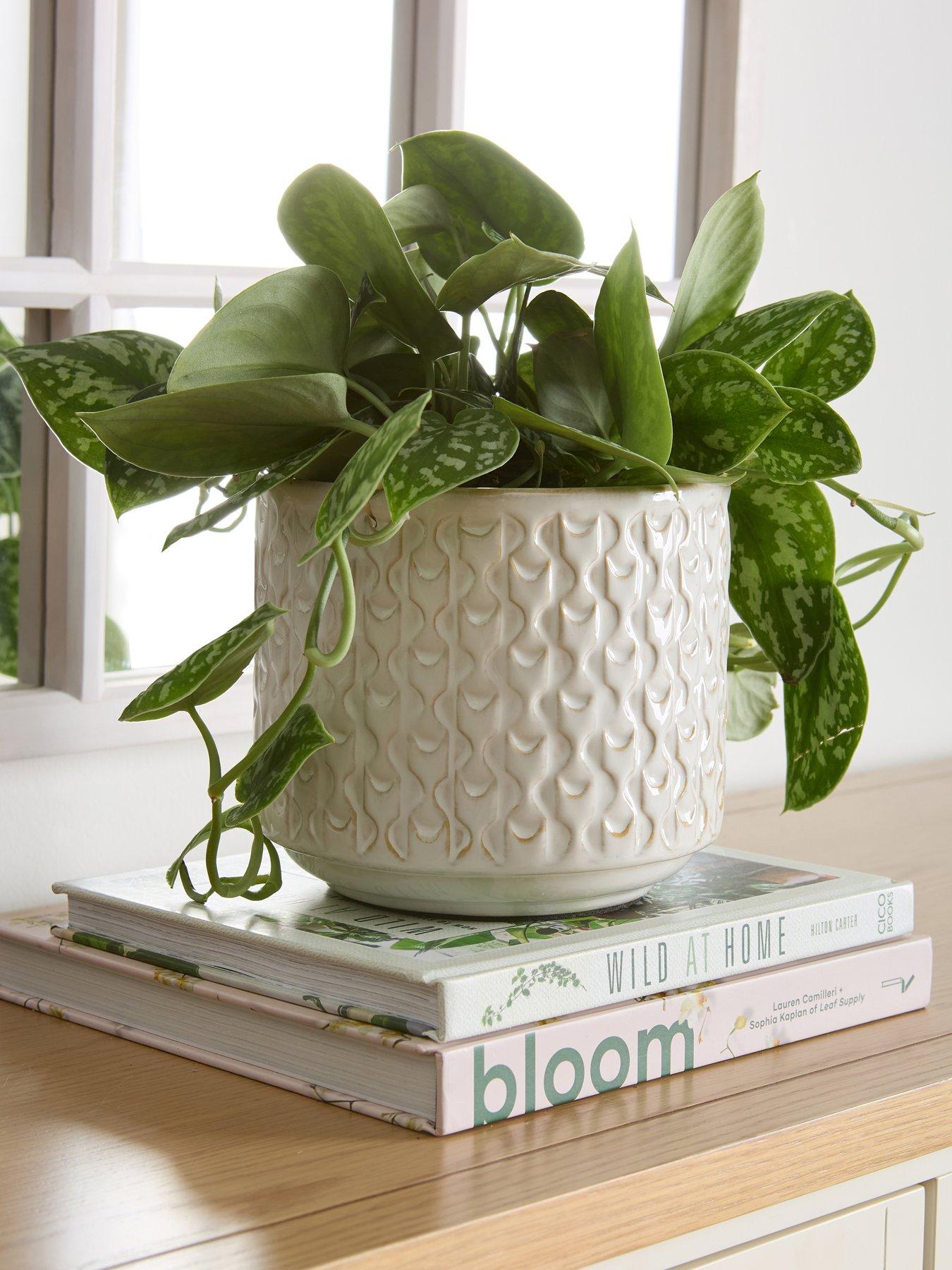 The Very Collection Ceramic Planter | Very
