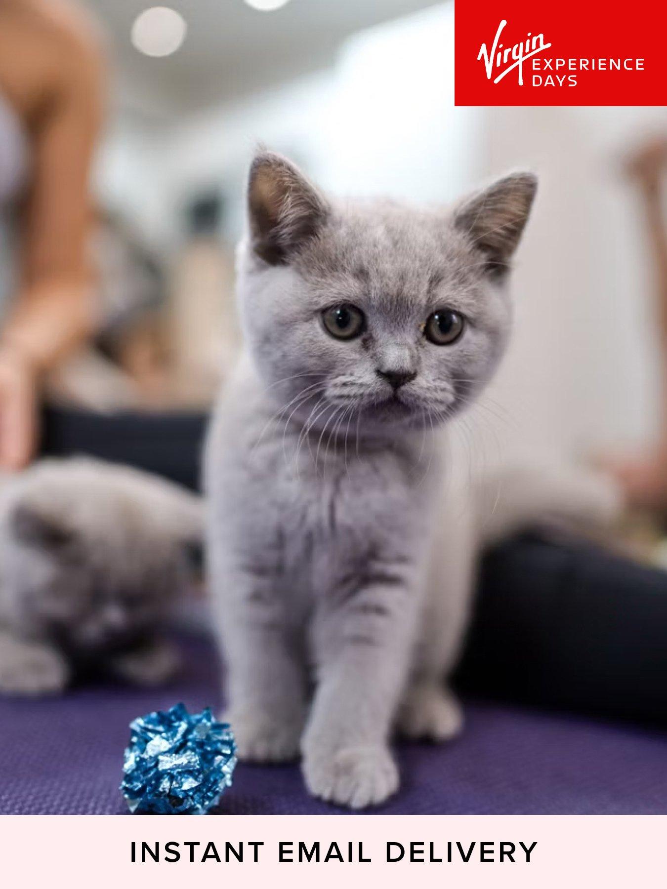 Image 1 of 5 of Virgin Experience Days London Kitty Yoga Session with Play Time for 2 -&nbsp;Digital Voucher