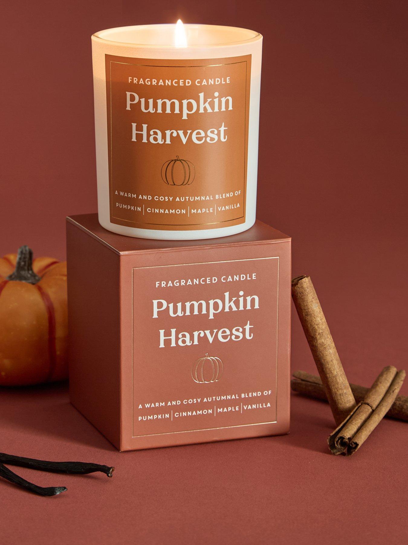 Image 1 of 5 of The Very Collection Pumpkin Harvest Candle
