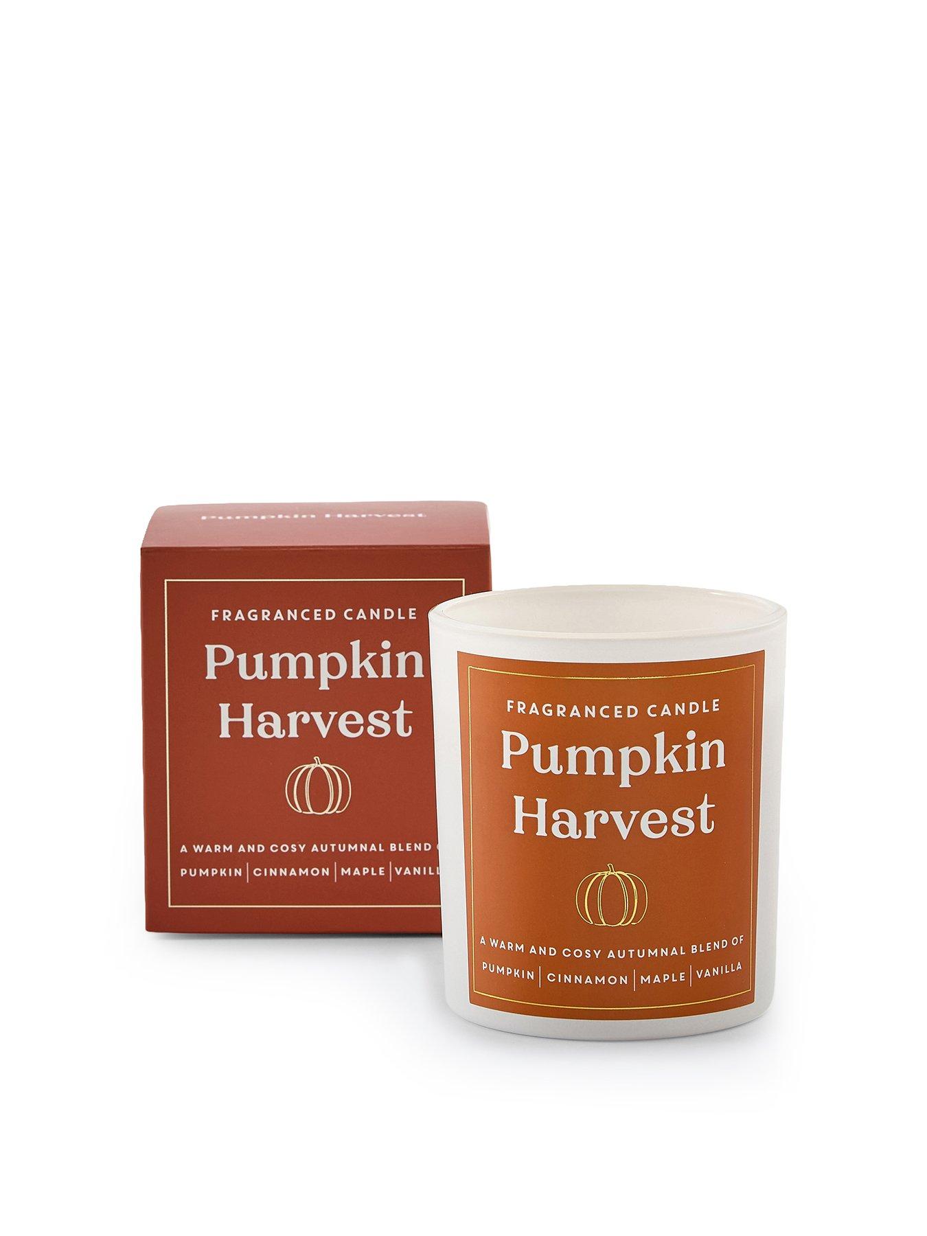 Image 2 of 5 of The Very Collection Pumpkin Harvest Candle