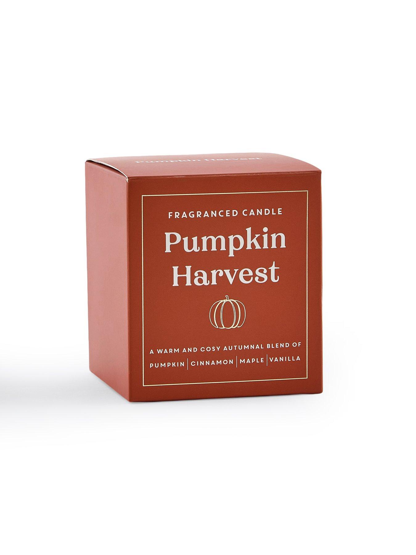 Image 4 of 5 of The Very Collection Pumpkin Harvest Candle
