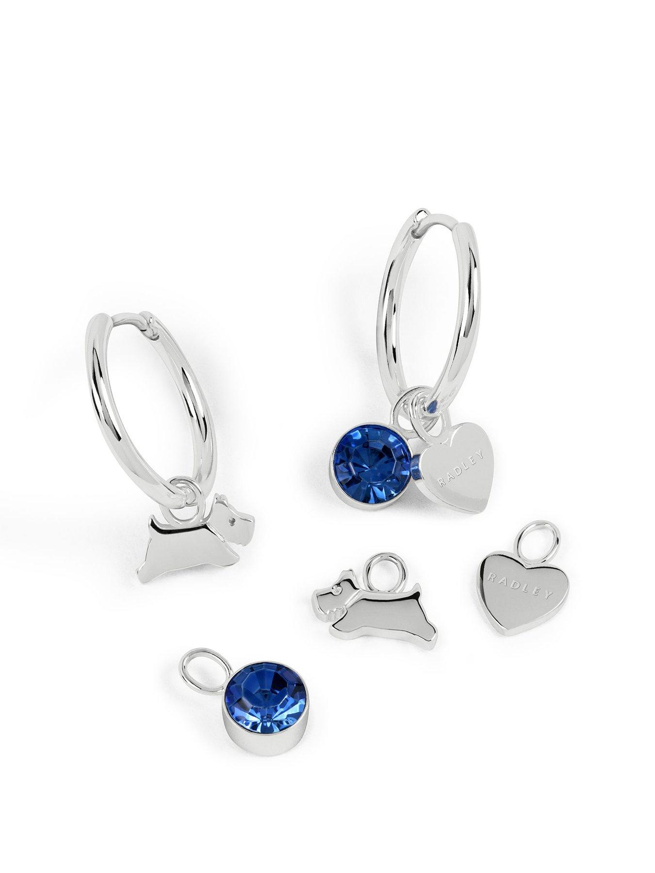 undefined Silver Plated Huggie Earring and Charm Set