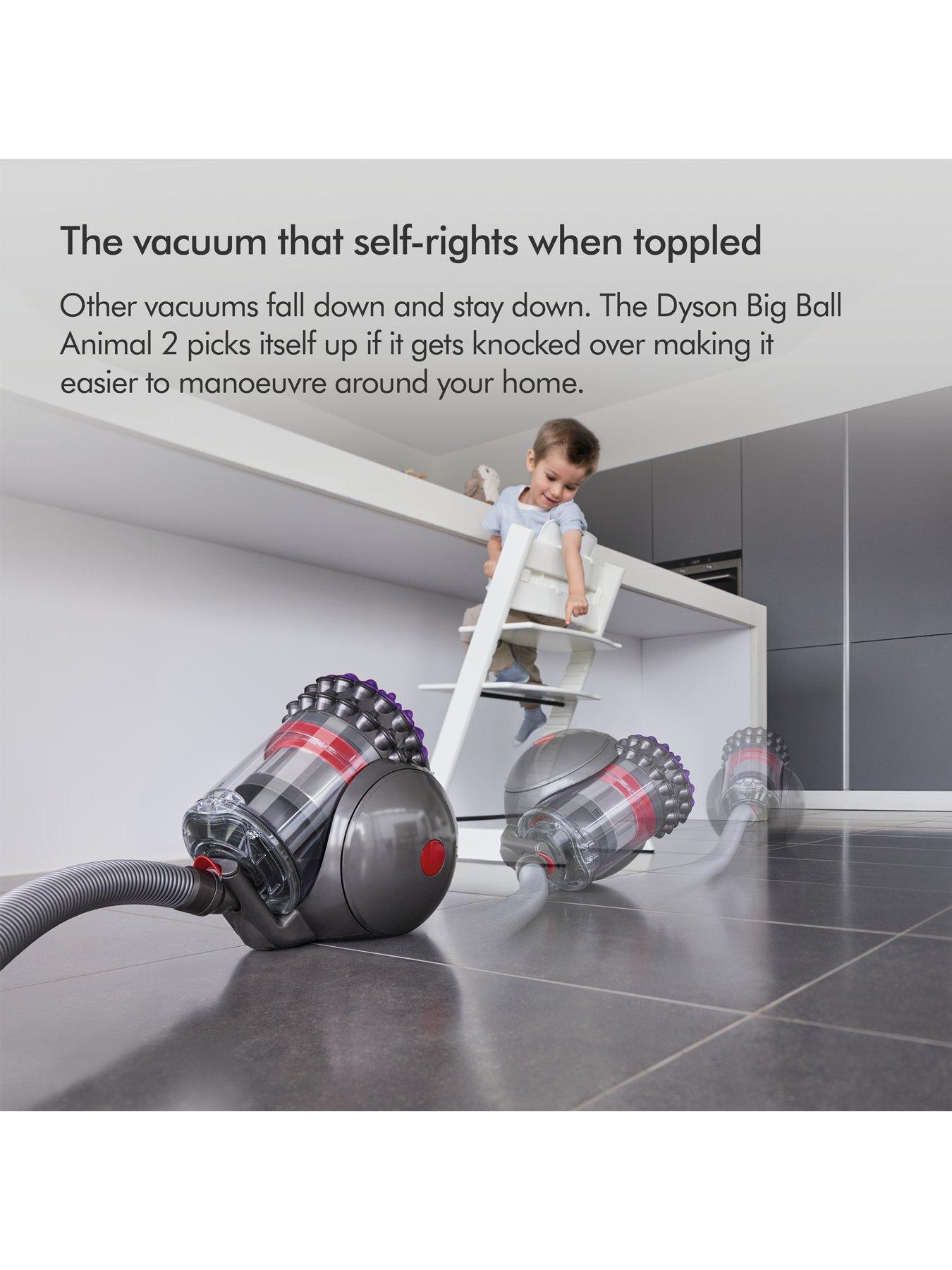 Dyson Big Ball Animal 2 | Very