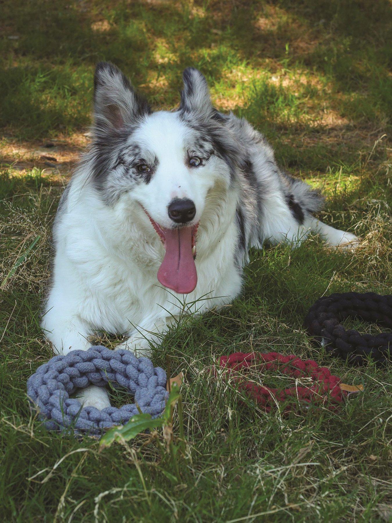 Product photograph of M-pets Coto Grey Loop Bar 34cm Coto Grey Ring 18cm from very.co.uk