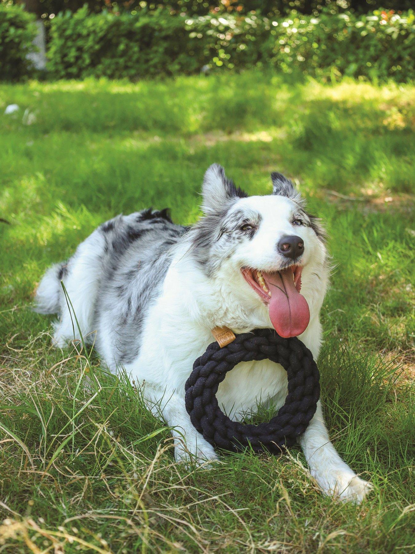 Product photograph of M-pets Coto Black Loop Bar 34 Cm Coto Black Ring 18 Cm from very.co.uk