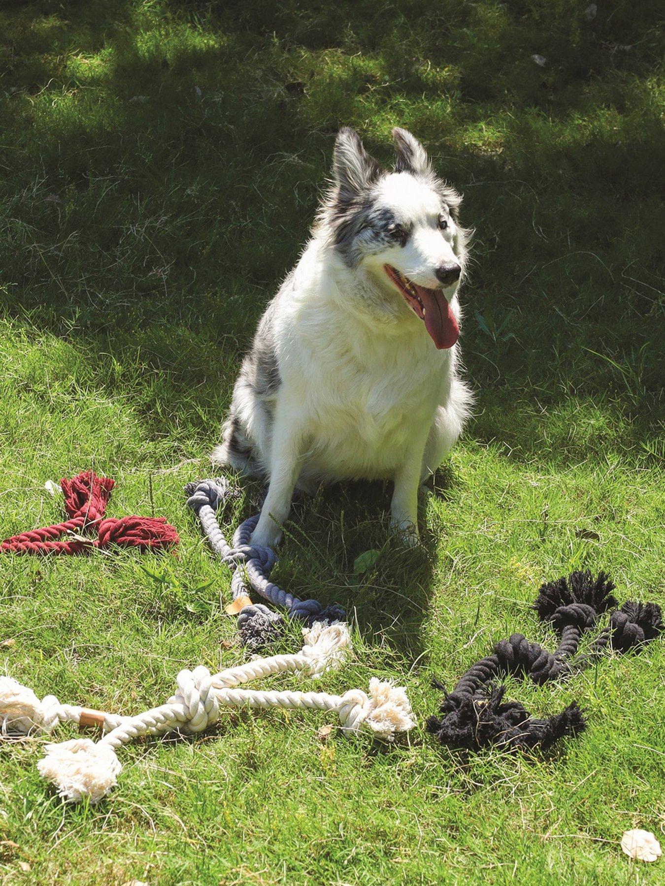 Image 1 of 5 of M-Pets Coto Black Duo Ball 28 Cm/ Coto Black Cross 60Cm